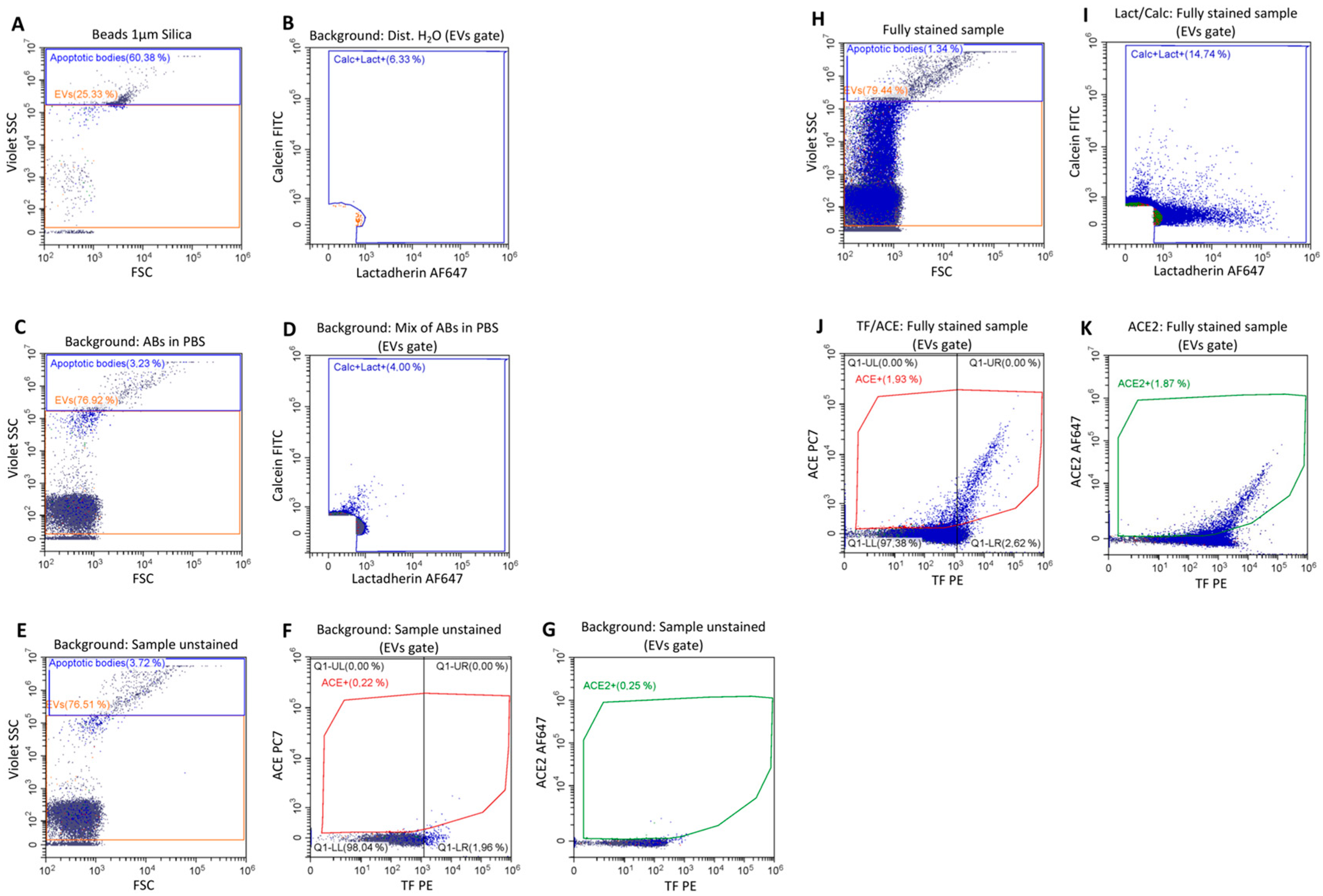 Ijms 25 02415 g003 Ijms 25 02415 g003