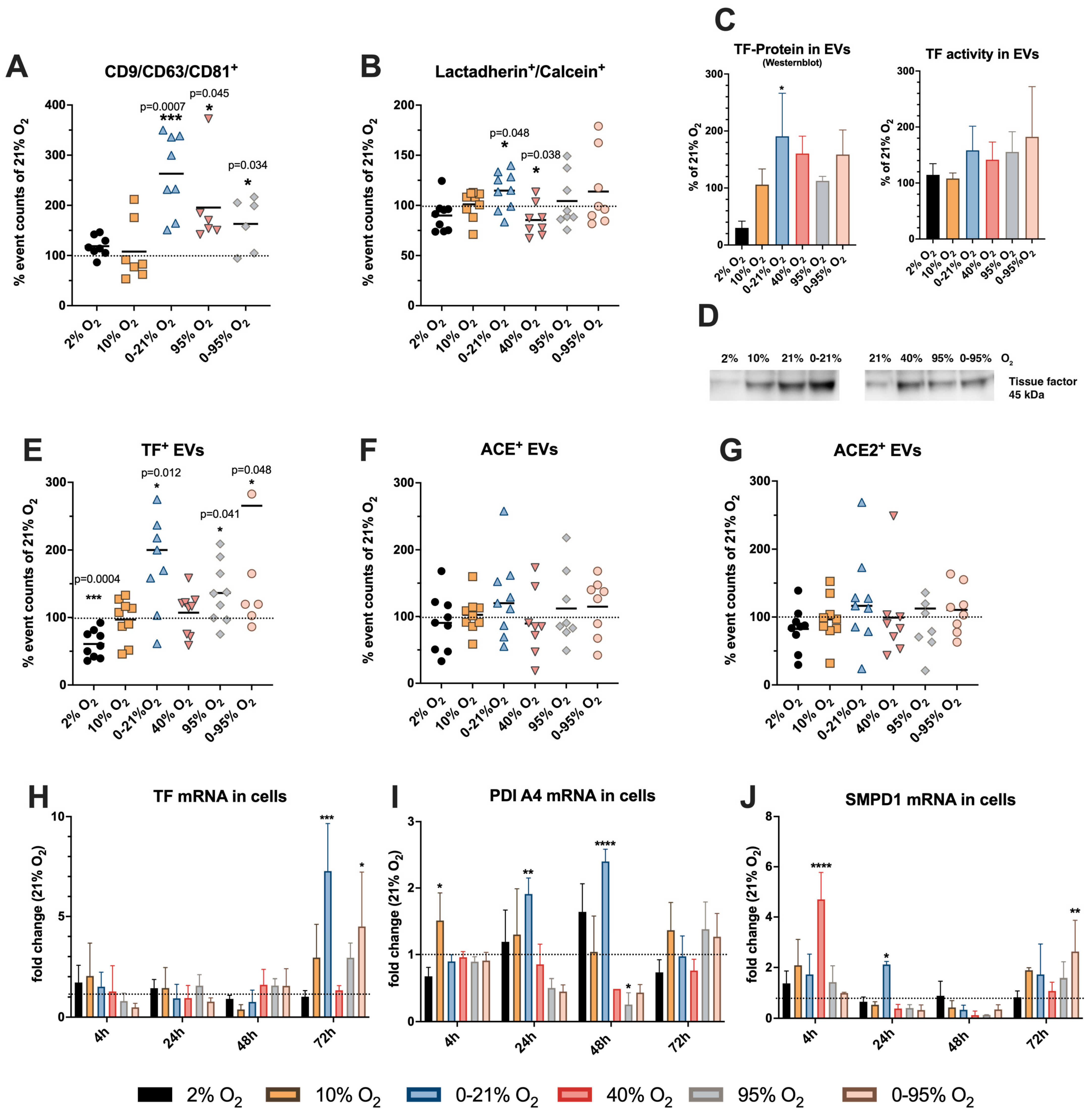 Ijms 25 02415 g004 Ijms 25 02415 g004