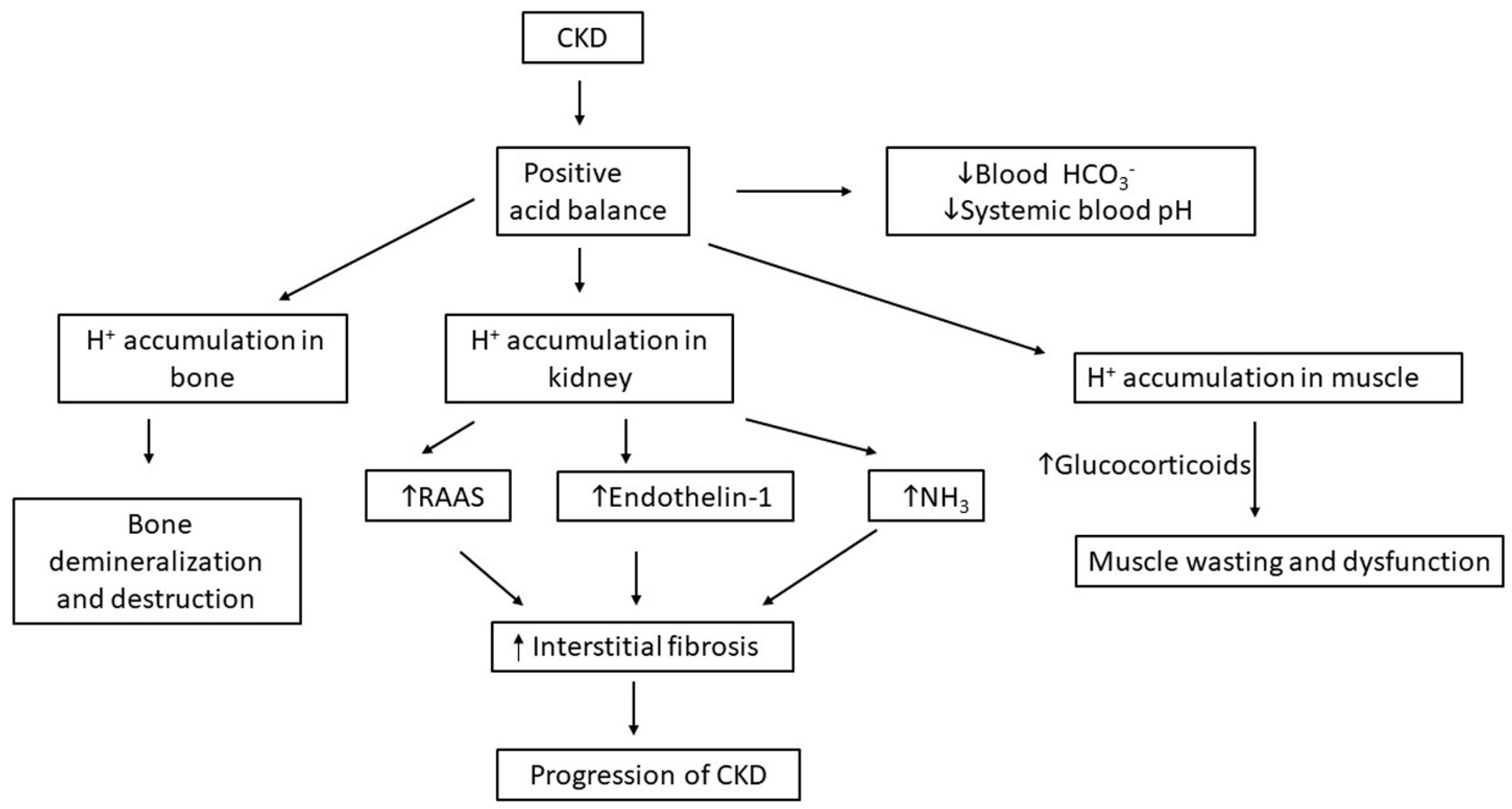 Ijms 25 02420 g003 Ijms 25 02420 g003