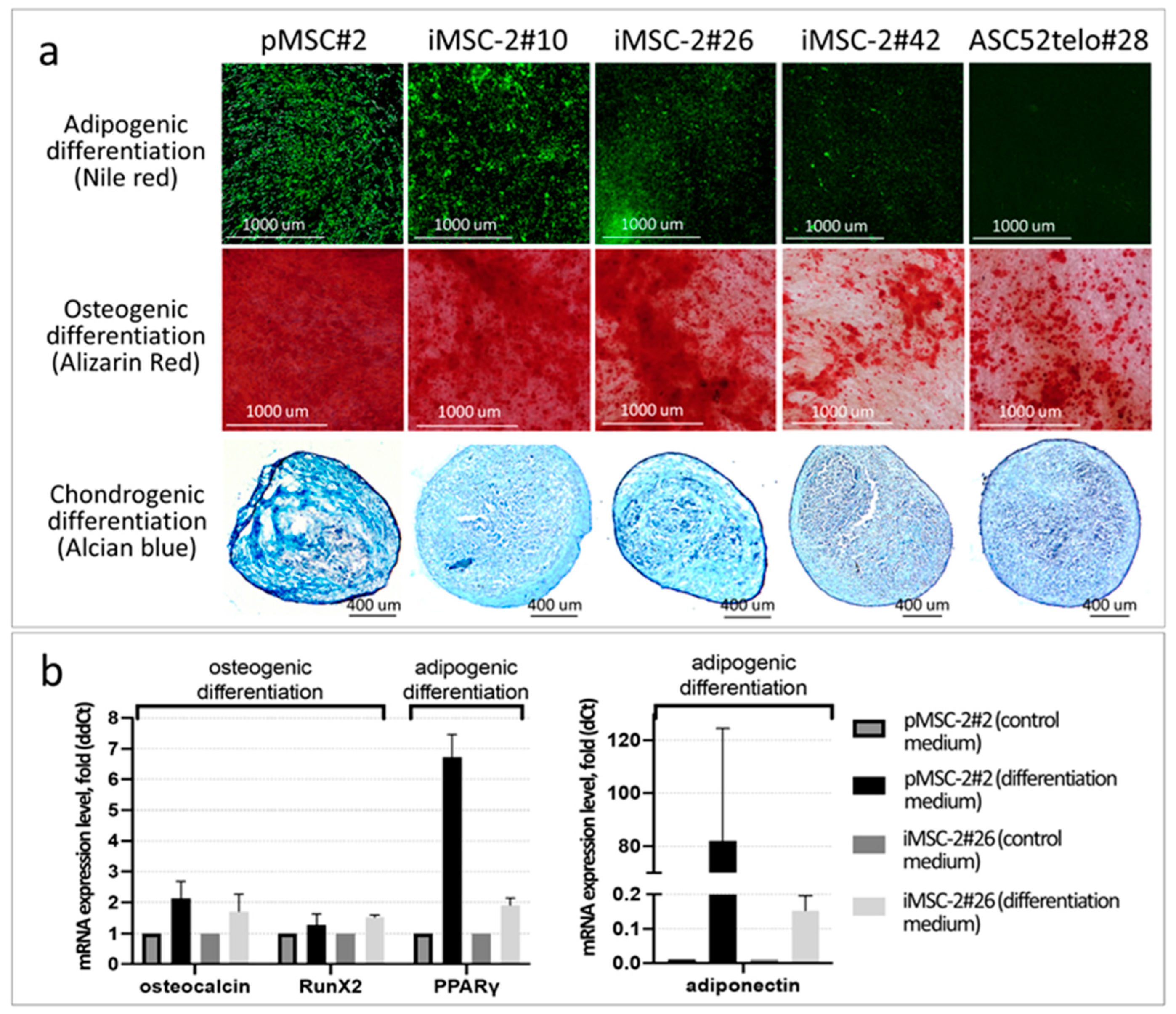 Ijms 25 02421 g005 Ijms 25 02421 g005