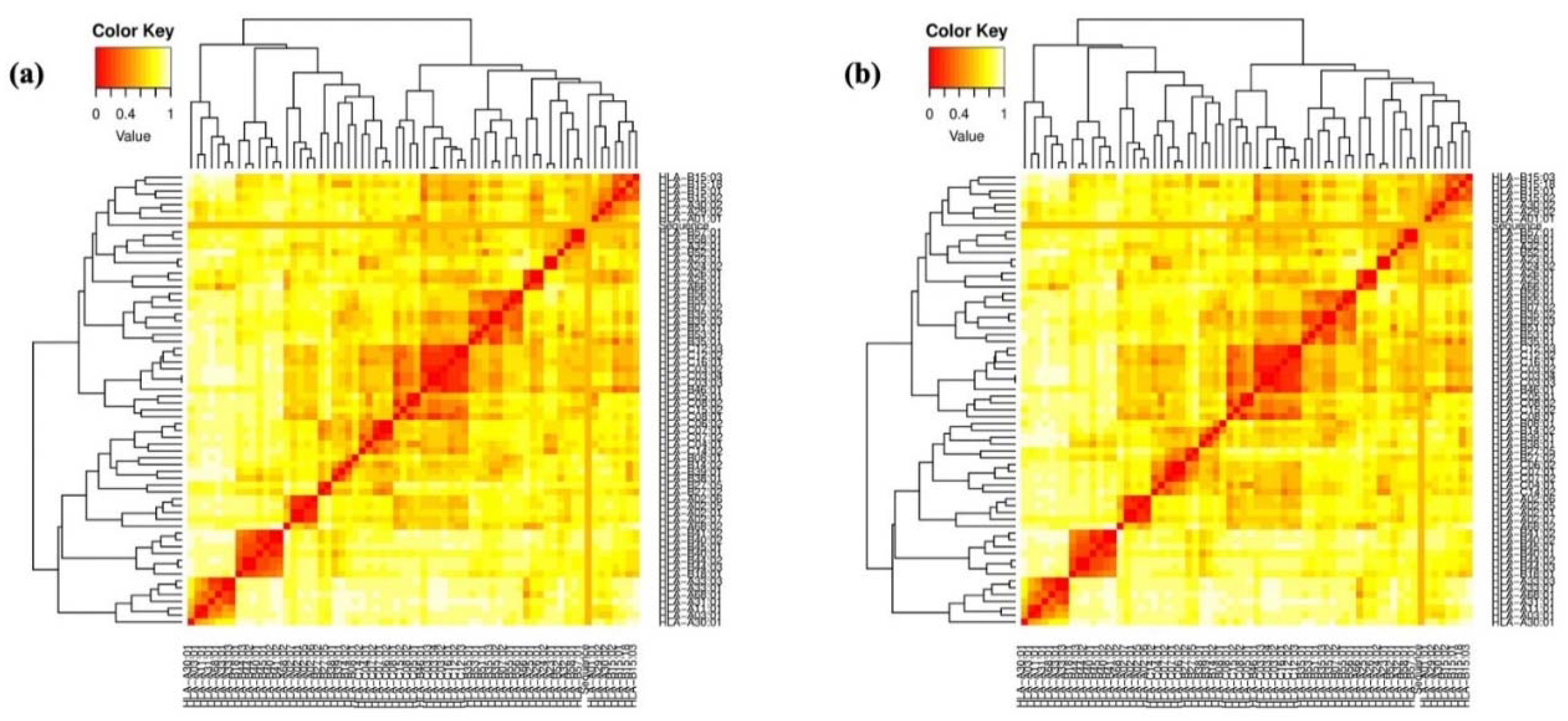 Ijms 25 02432 g004 Ijms 25 02432 g004