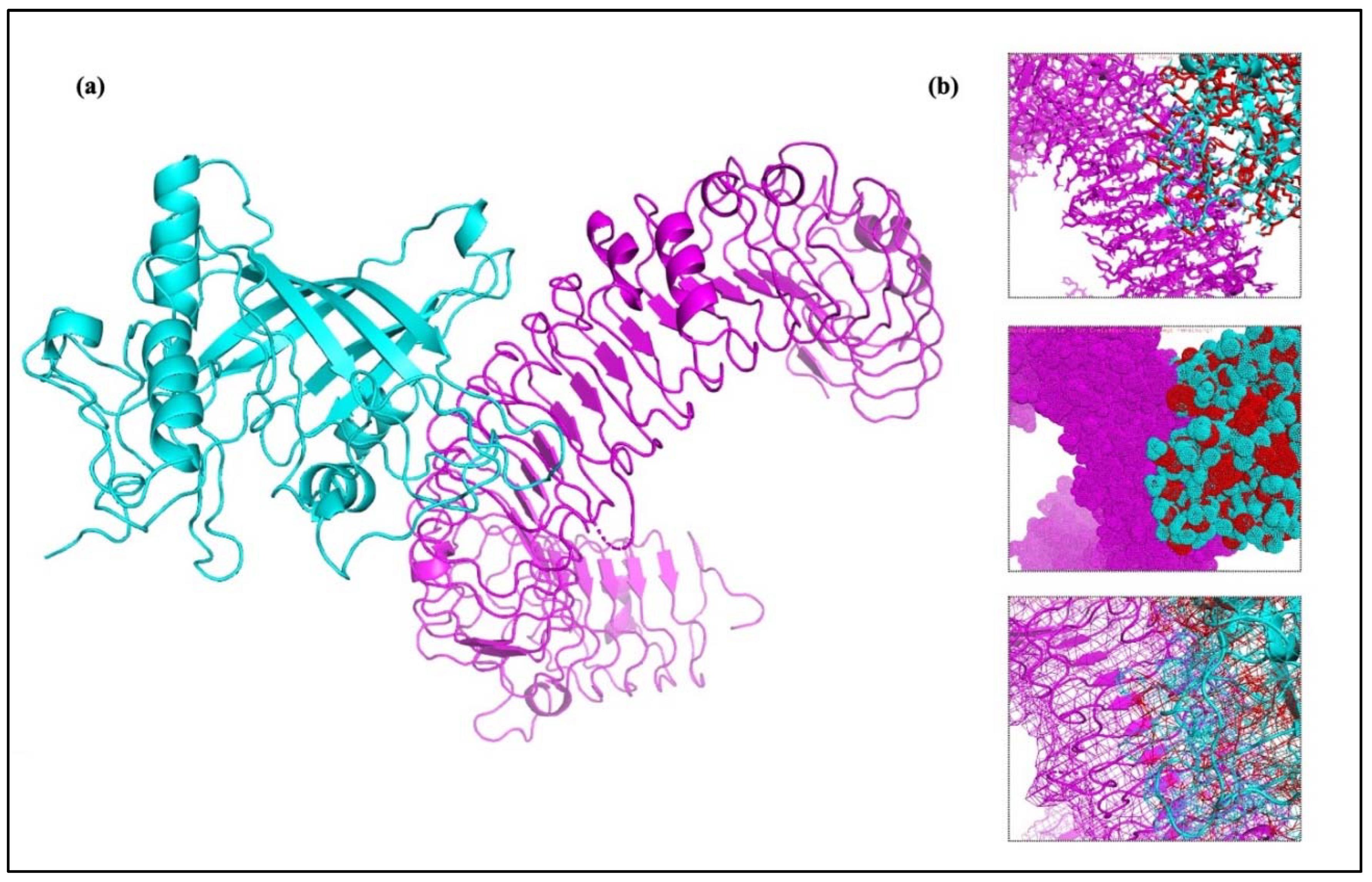 Ijms 25 02432 g011 Ijms 25 02432 g011