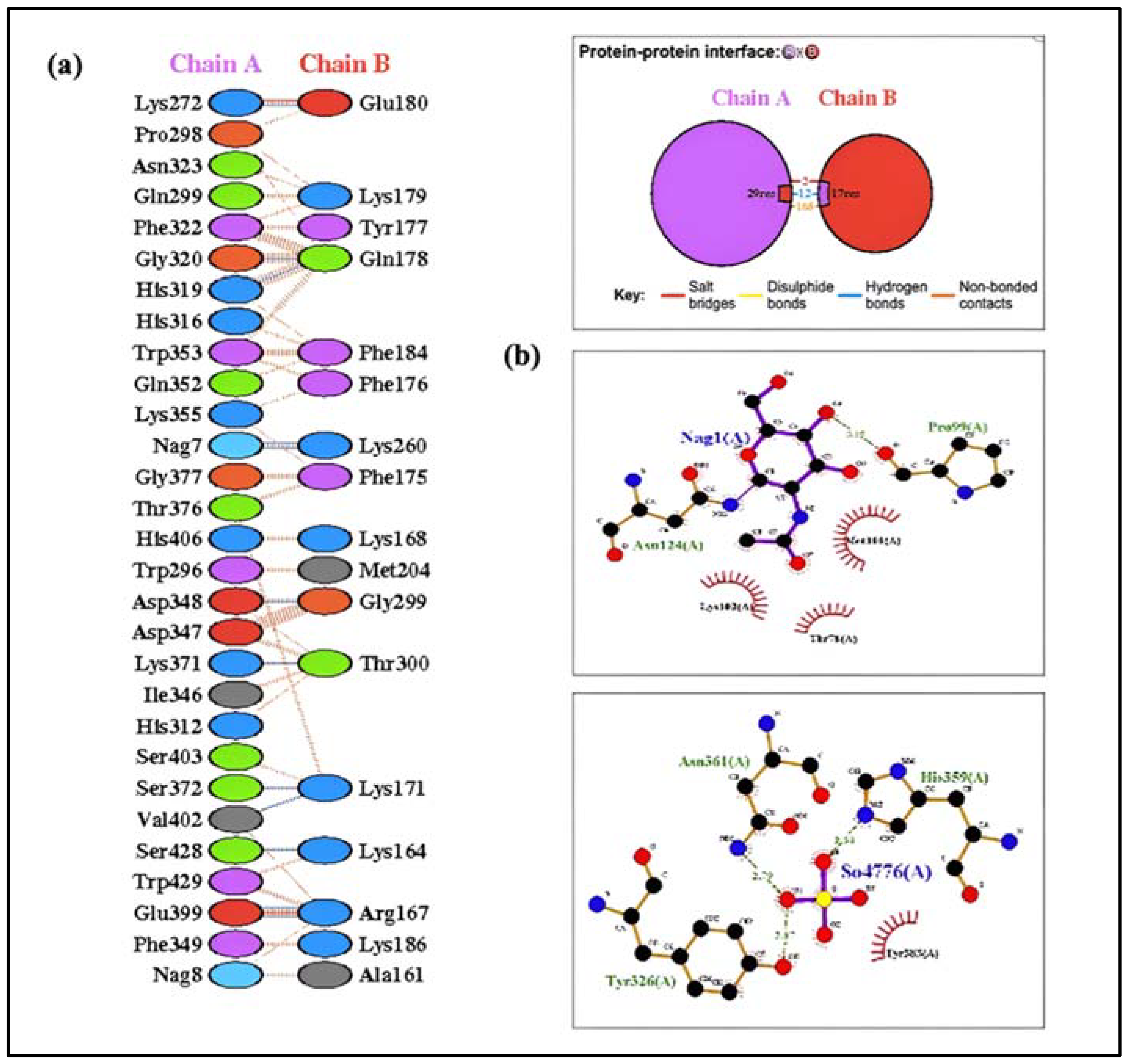 Ijms 25 02432 g012 Ijms 25 02432 g012