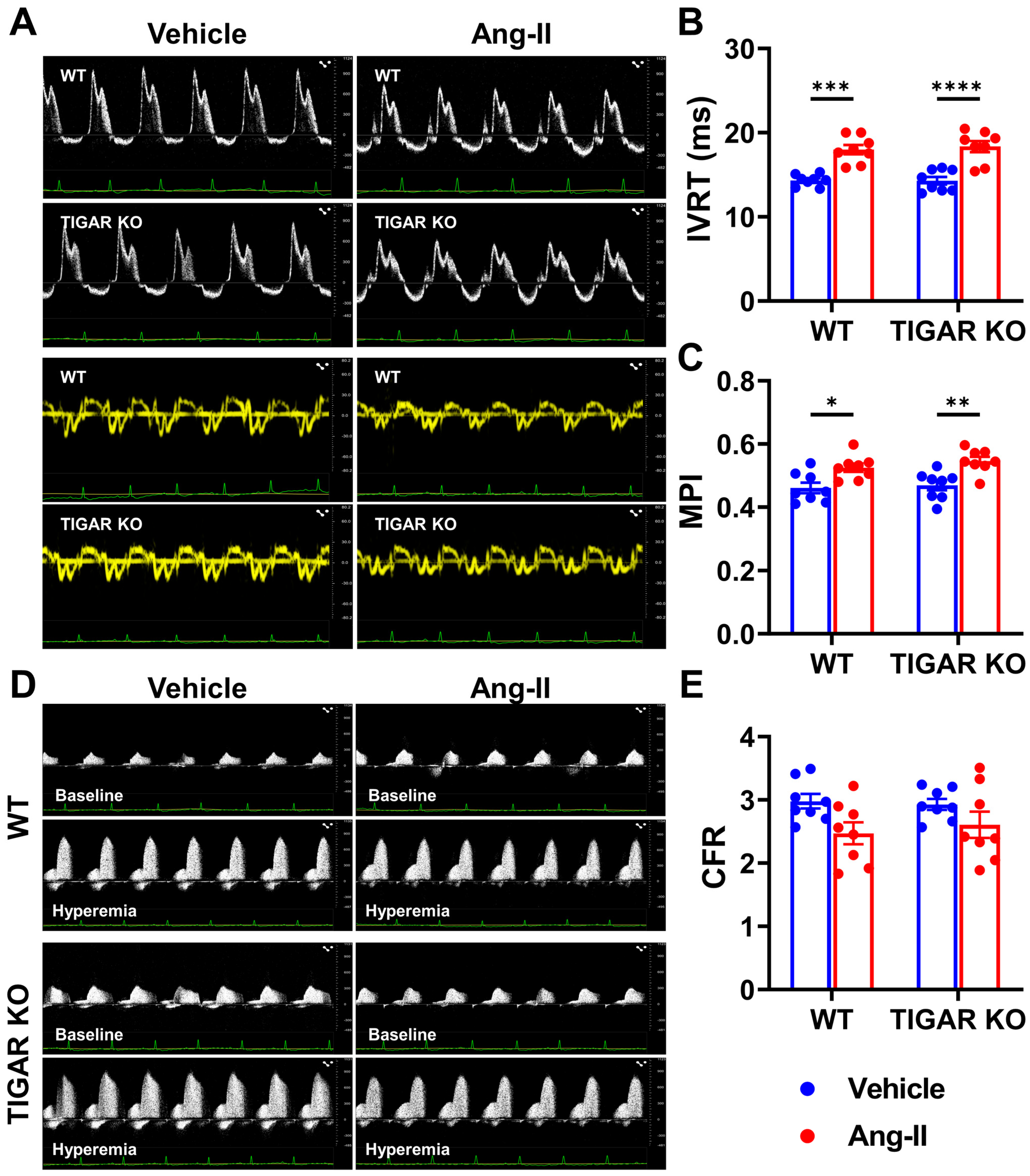 Ijms 25 02433 g002 Ijms 25 02433 g002
