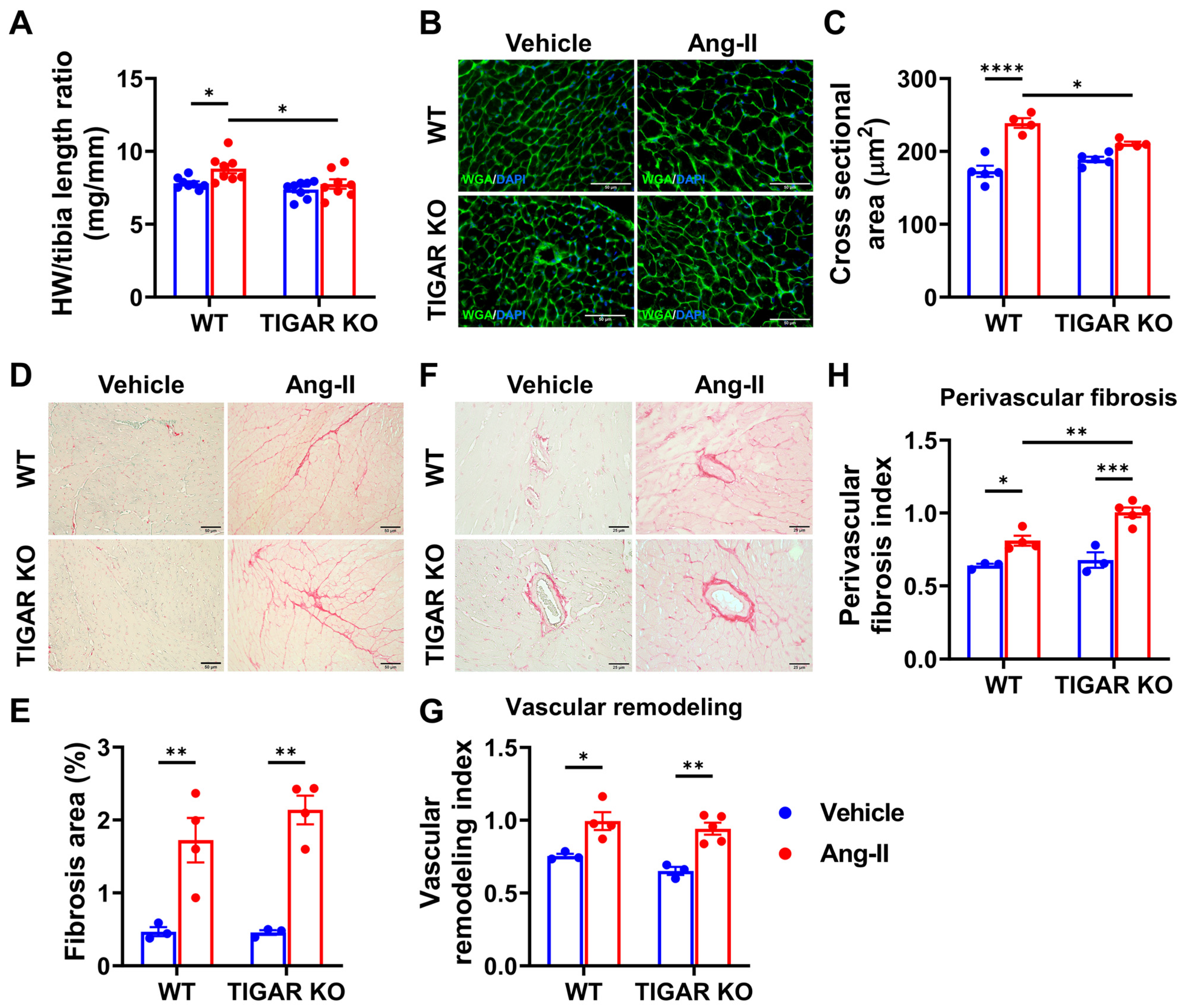 Ijms 25 02433 g003 Ijms 25 02433 g003