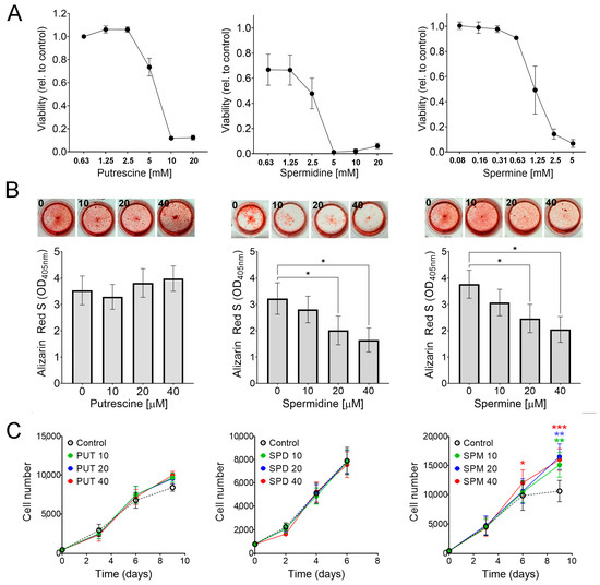 Effects of Spermine Synthase Deficiency in Mesenchymal Stromal Cells ...