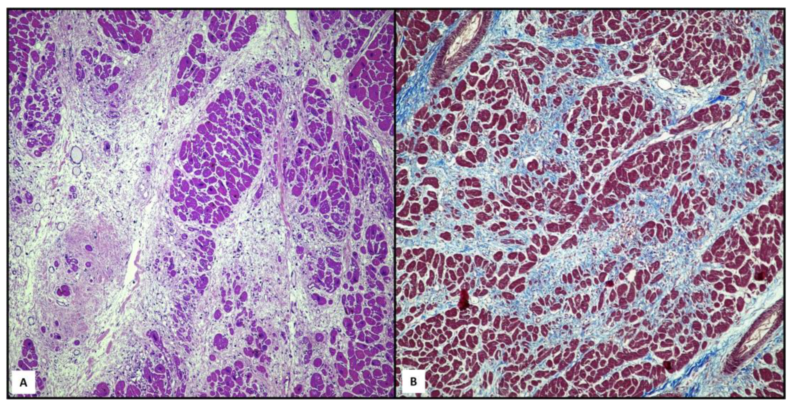 Ijms 25 02467 g002 Ijms 25 02467 g002