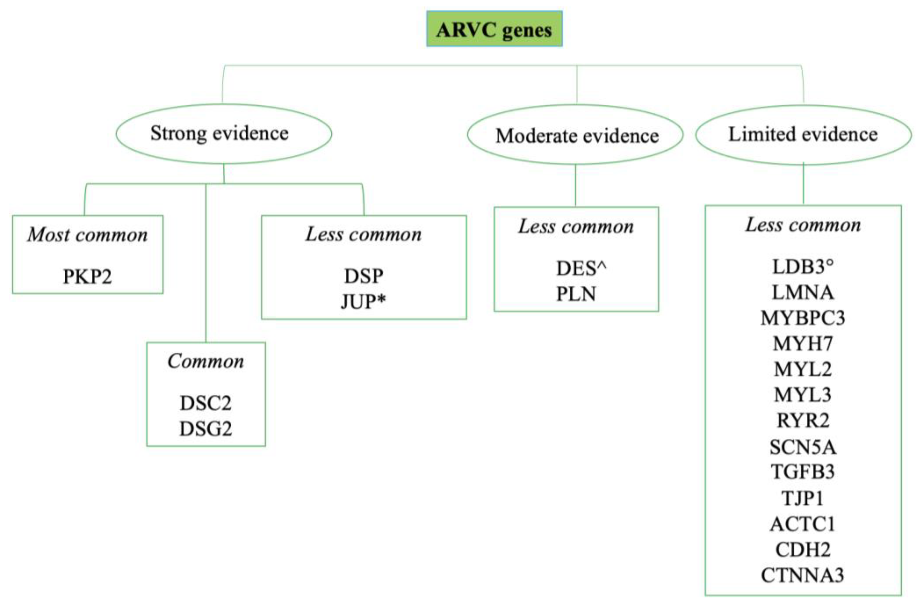 Ijms 25 02467 g003 Ijms 25 02467 g003