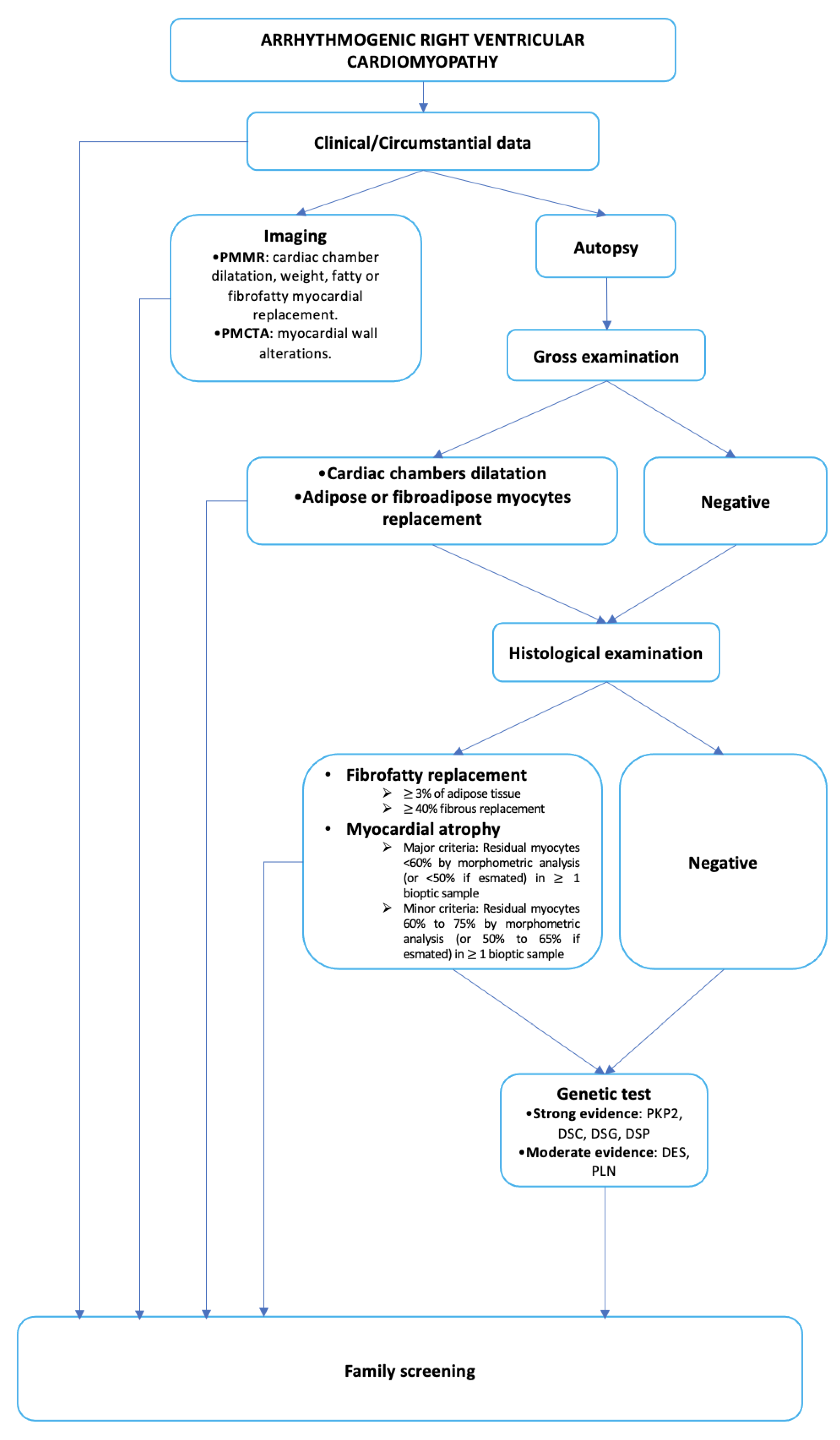 Ijms 25 02467 g004 Ijms 25 02467 g004