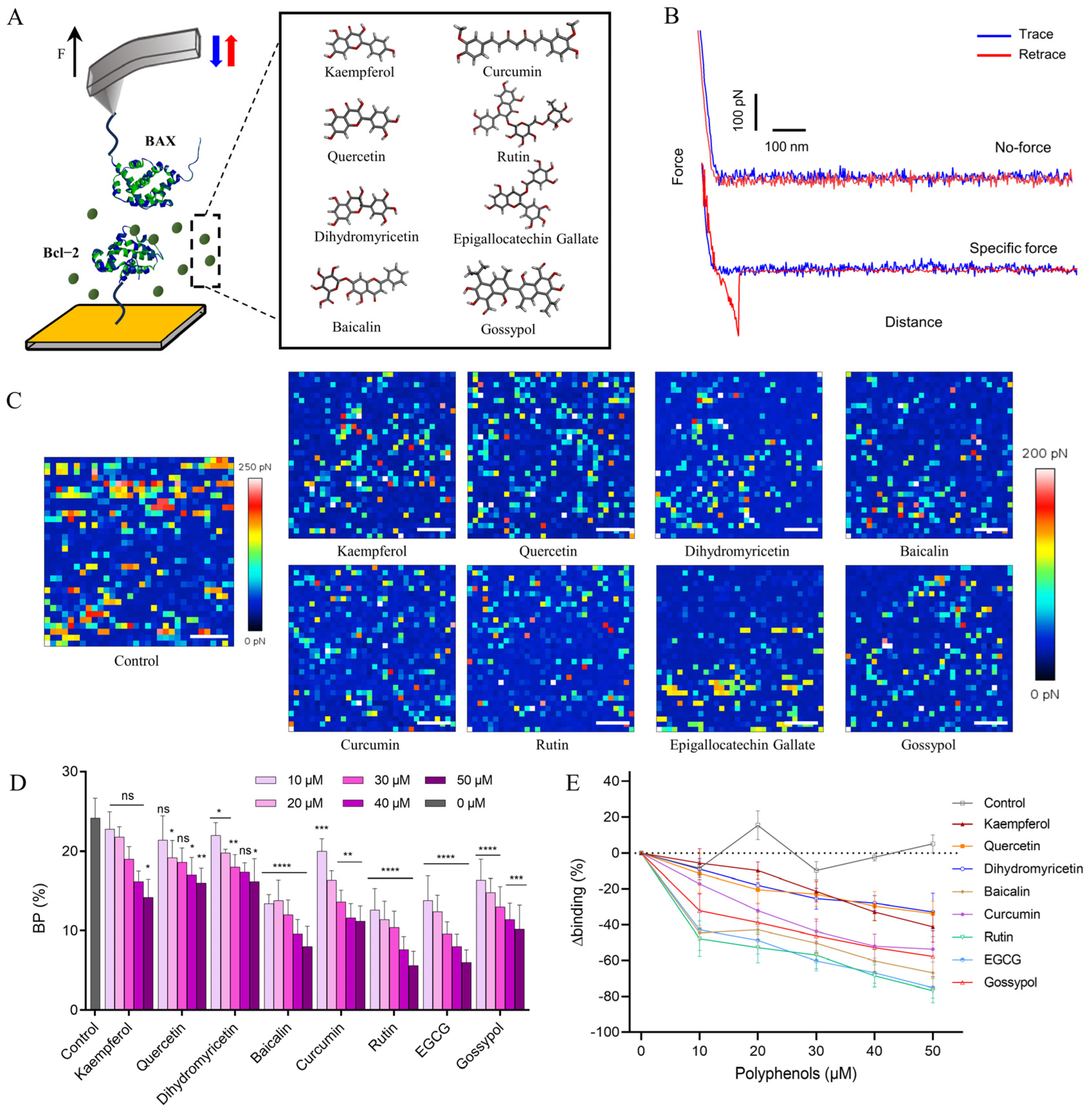 Ijms 25 02474 g001 Ijms 25 02474 g001