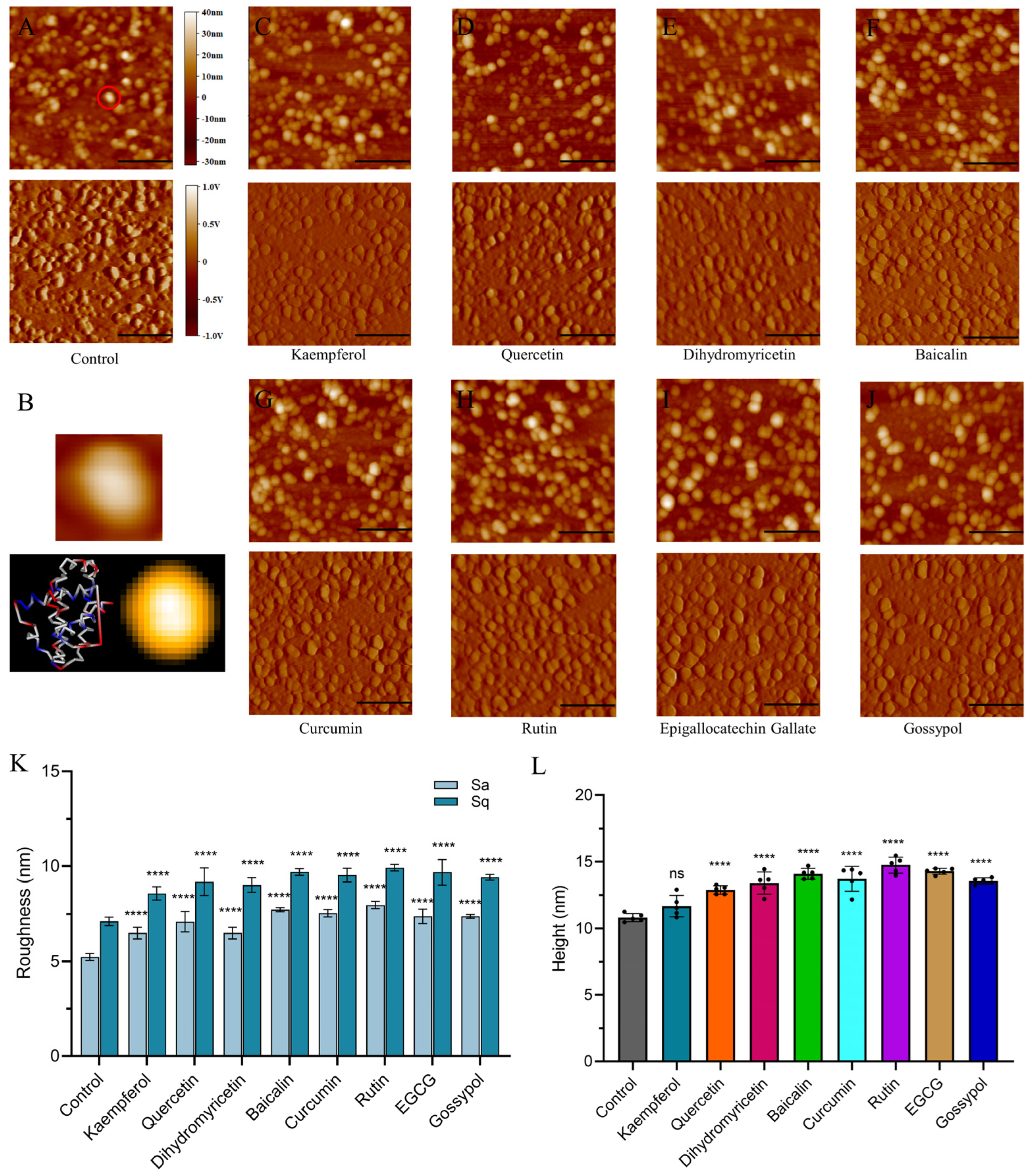 Ijms 25 02474 g005 Ijms 25 02474 g005
