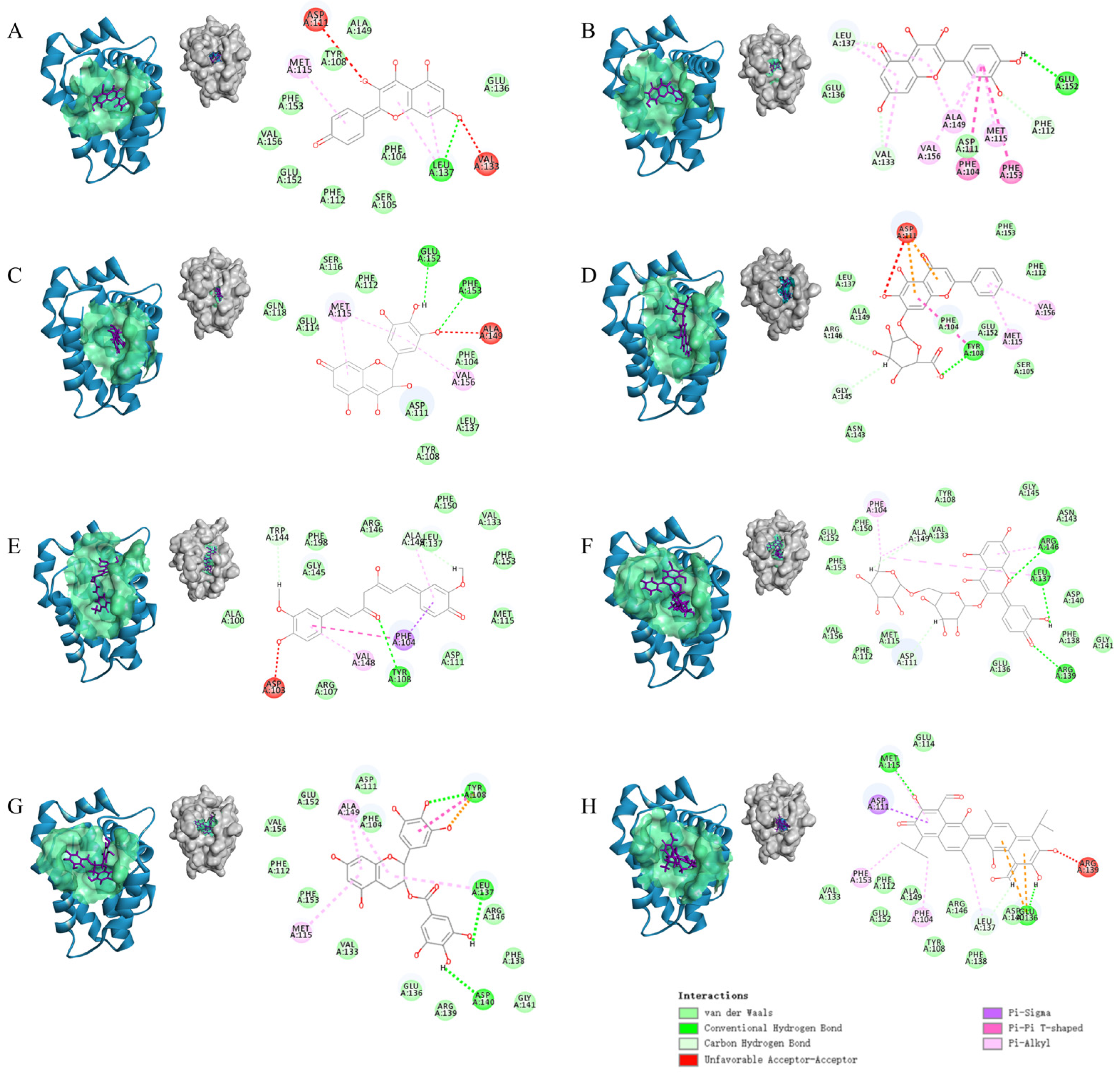 Ijms 25 02474 g006 Ijms 25 02474 g006