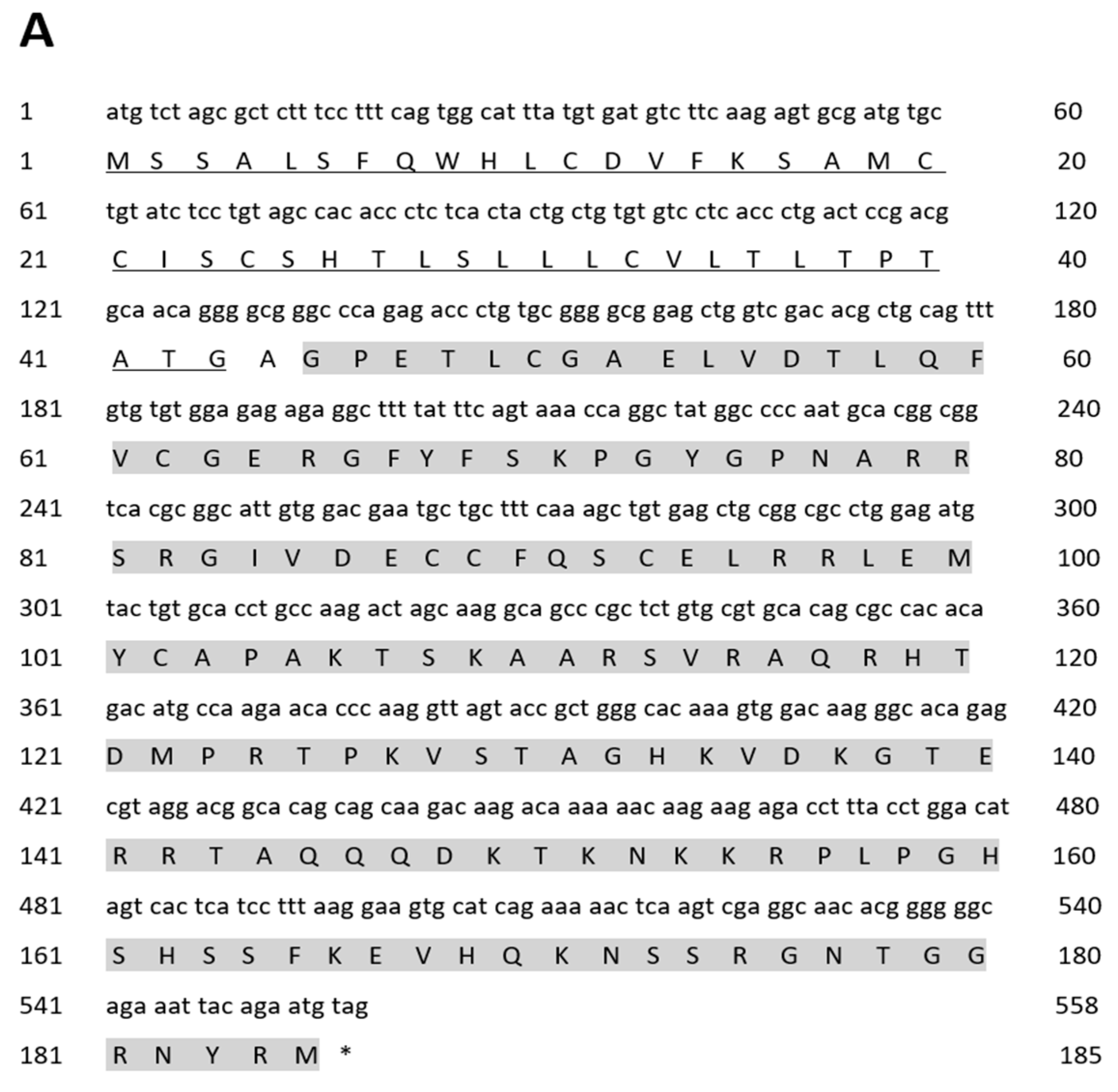 Ijms 25 02499 g001a Ijms 25 02499 g001a