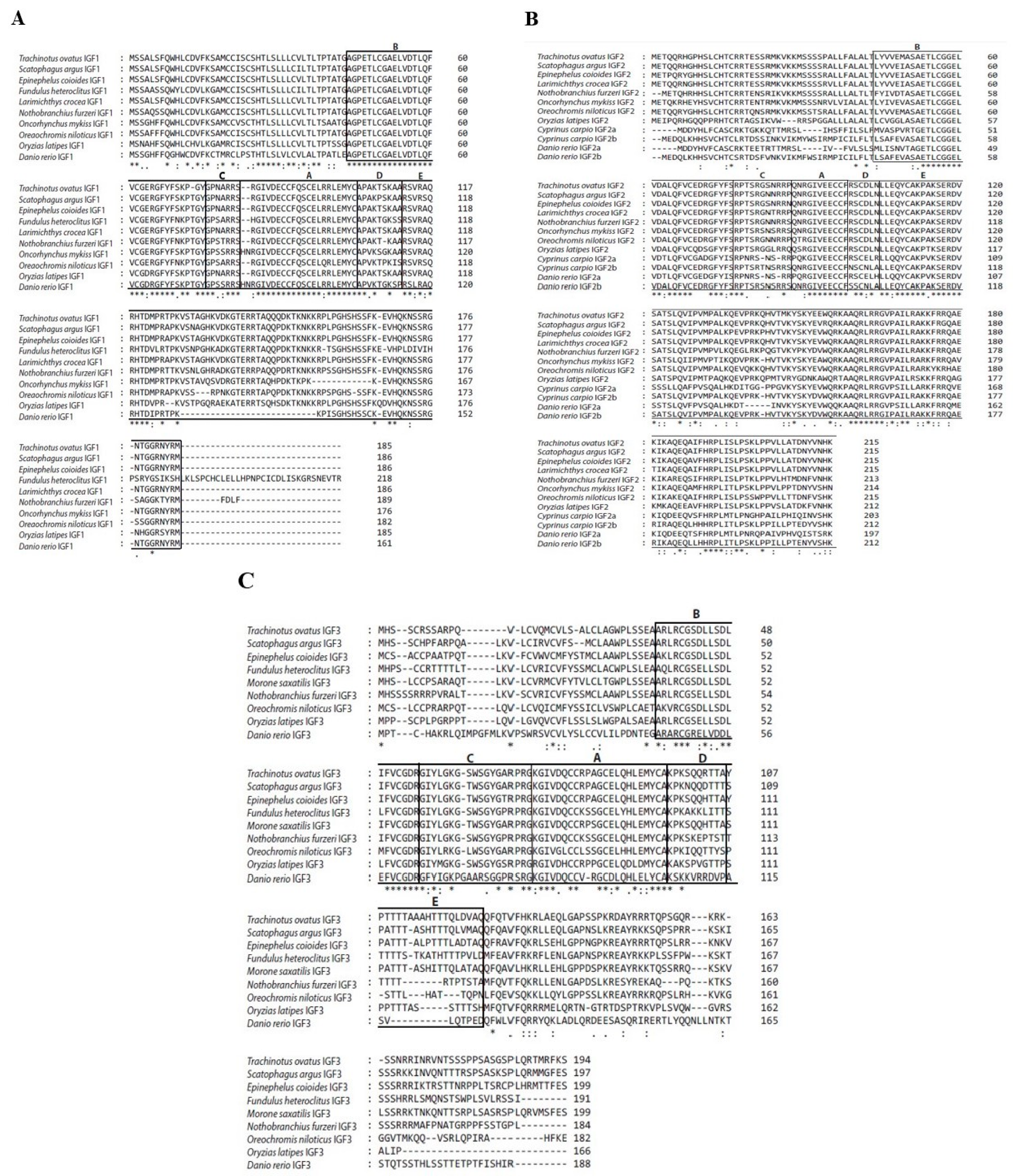 Ijms 25 02499 g002 Ijms 25 02499 g002