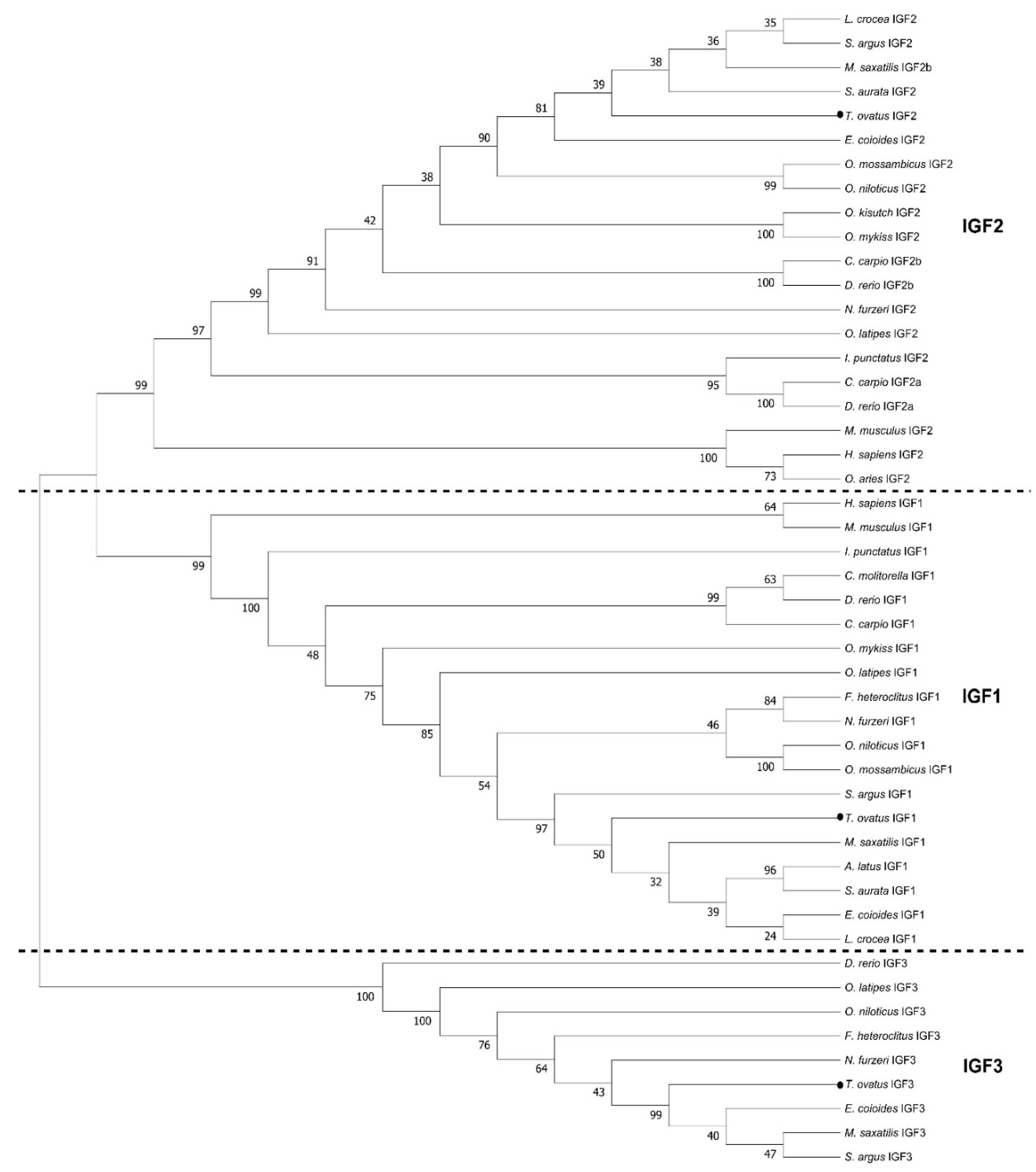 Ijms 25 02499 g003 Ijms 25 02499 g003