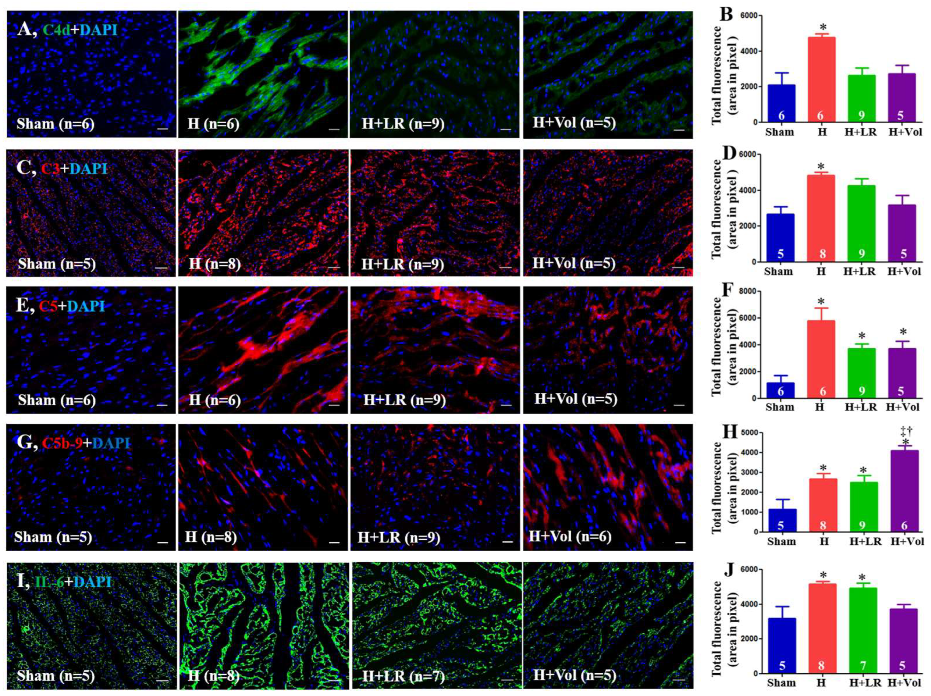 Ijms 25 02500 g005 Ijms 25 02500 g005