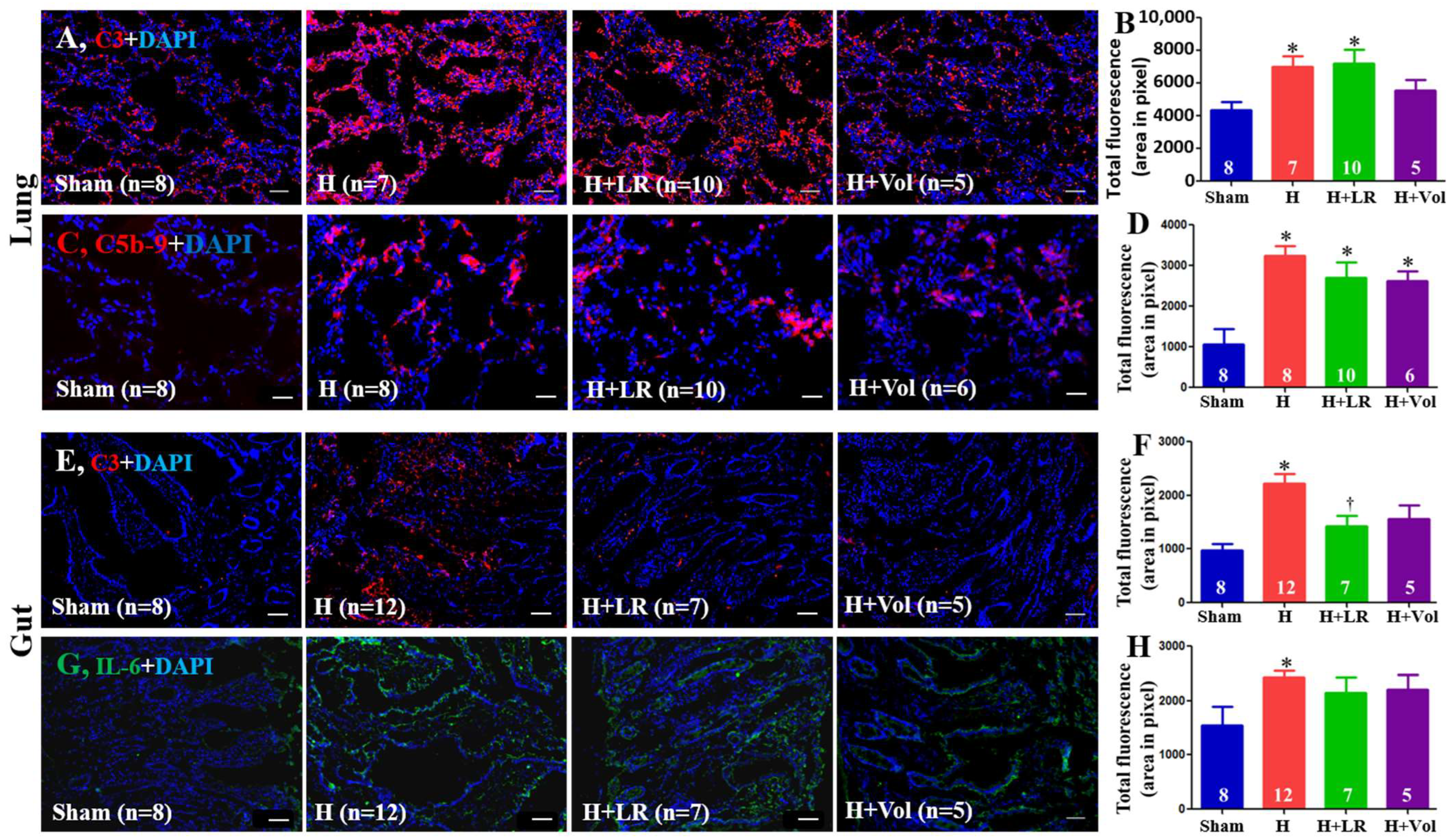 Ijms 25 02500 g006 Ijms 25 02500 g006