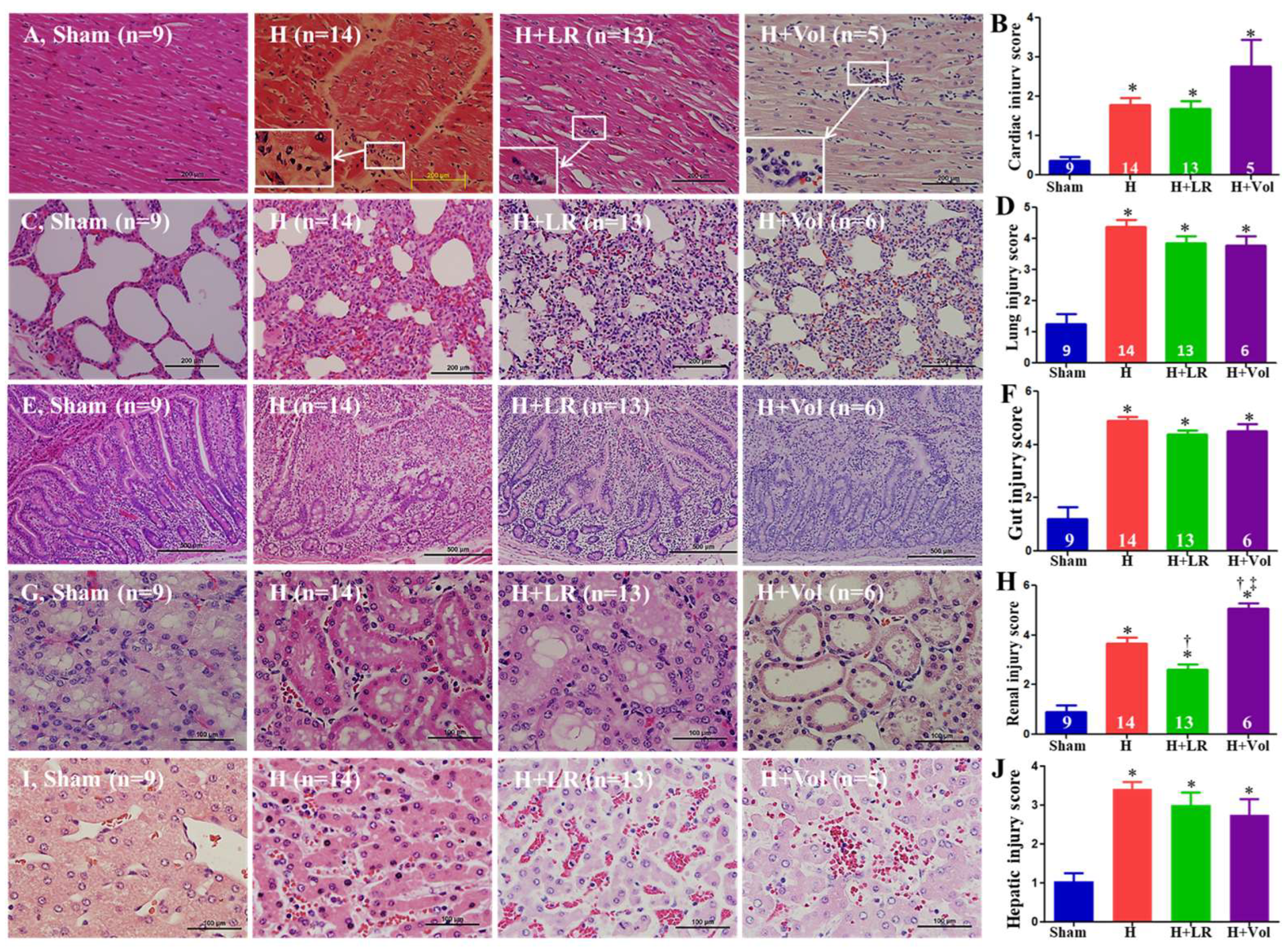 Ijms 25 02500 g007 Ijms 25 02500 g007