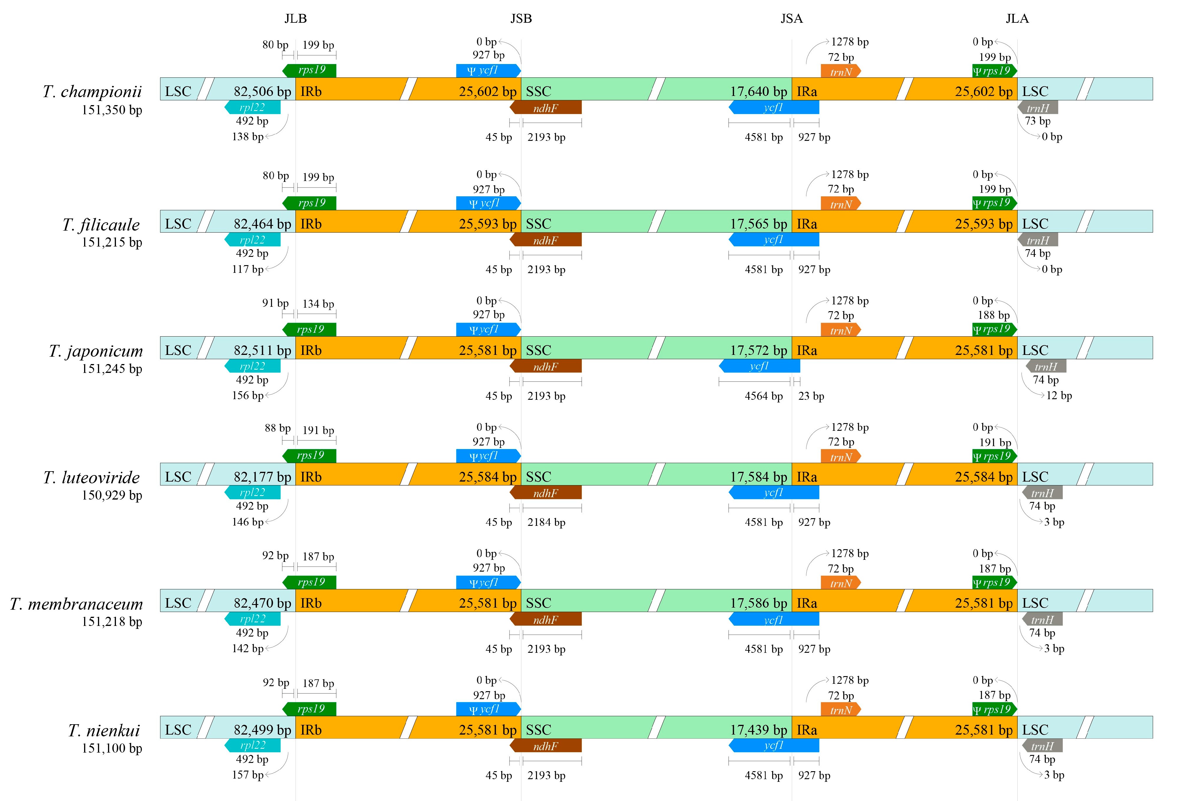 Ijms 25 02534 g002 Ijms 25 02534 g002