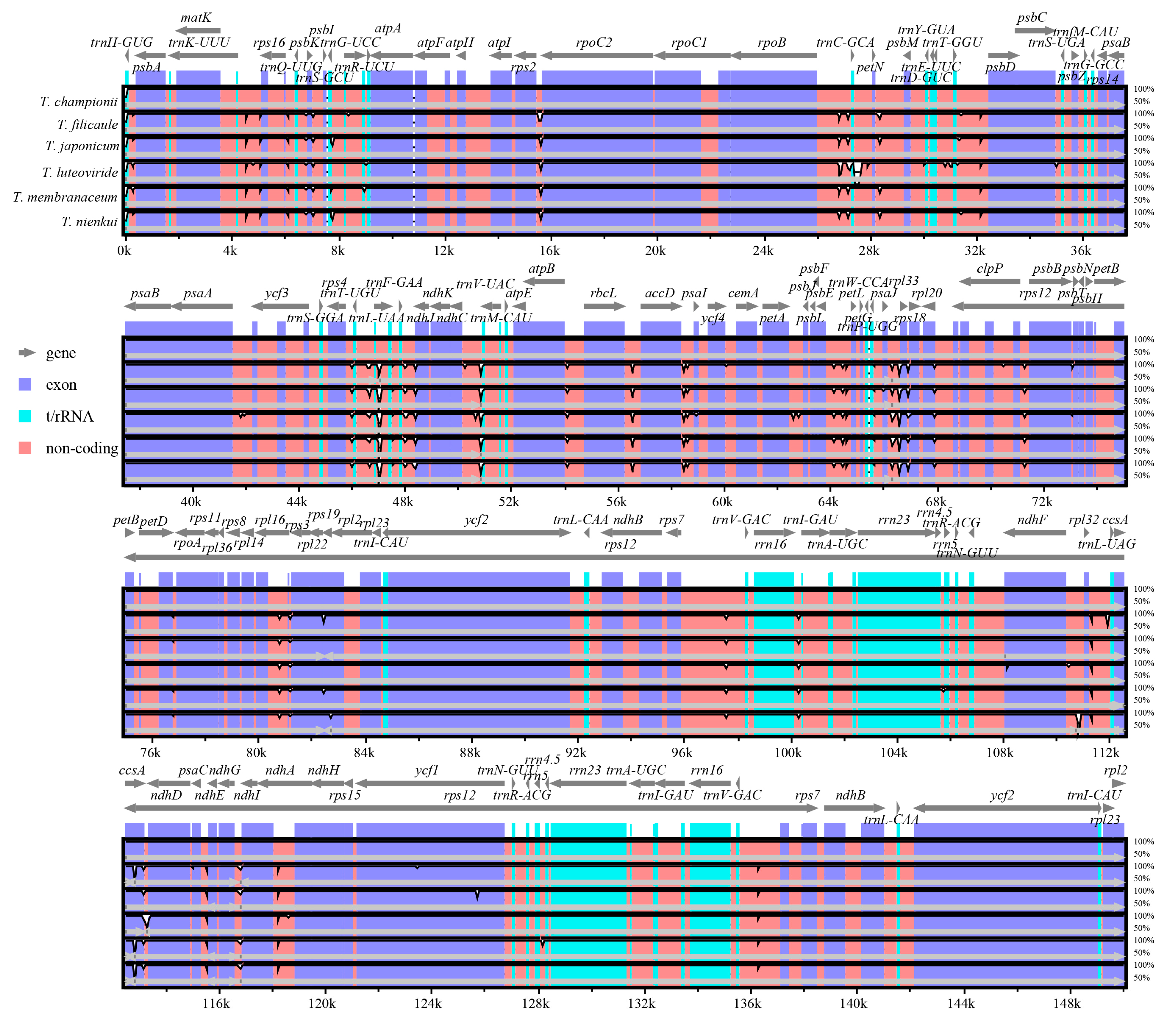 Ijms 25 02534 g005 Ijms 25 02534 g005
