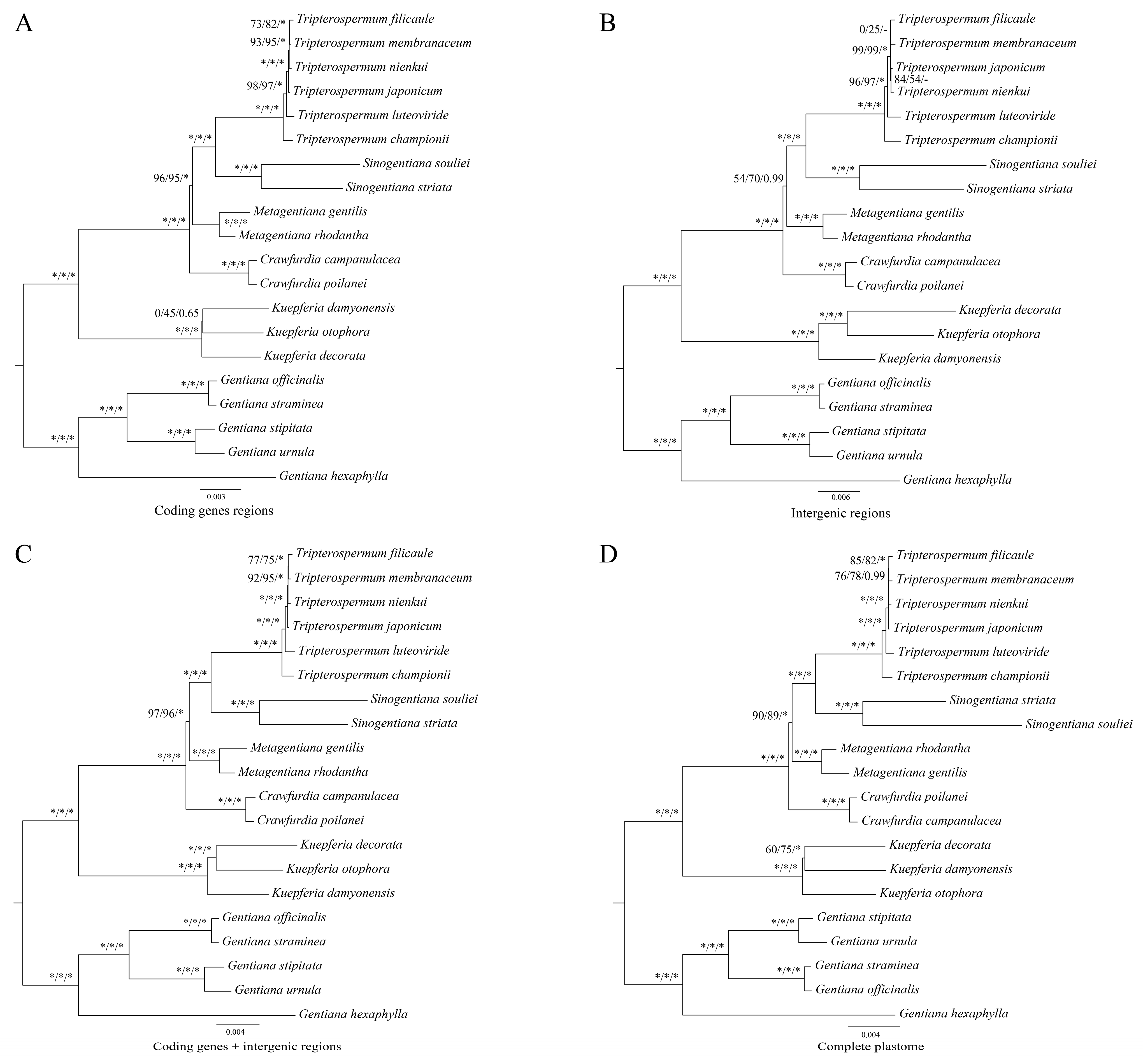 Ijms 25 02534 g008 Ijms 25 02534 g008