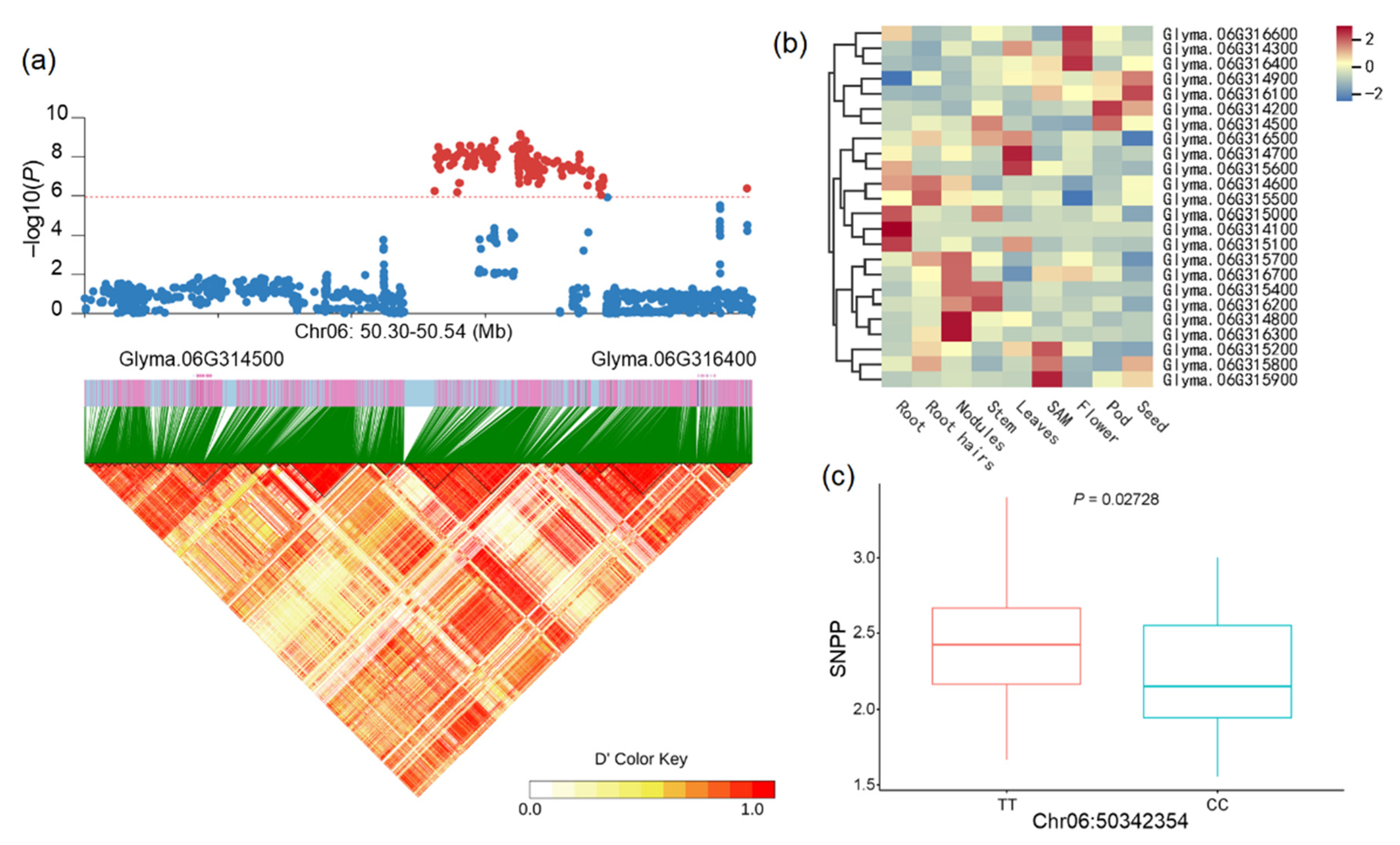 Ijms 25 02536 g004 Ijms 25 02536 g004