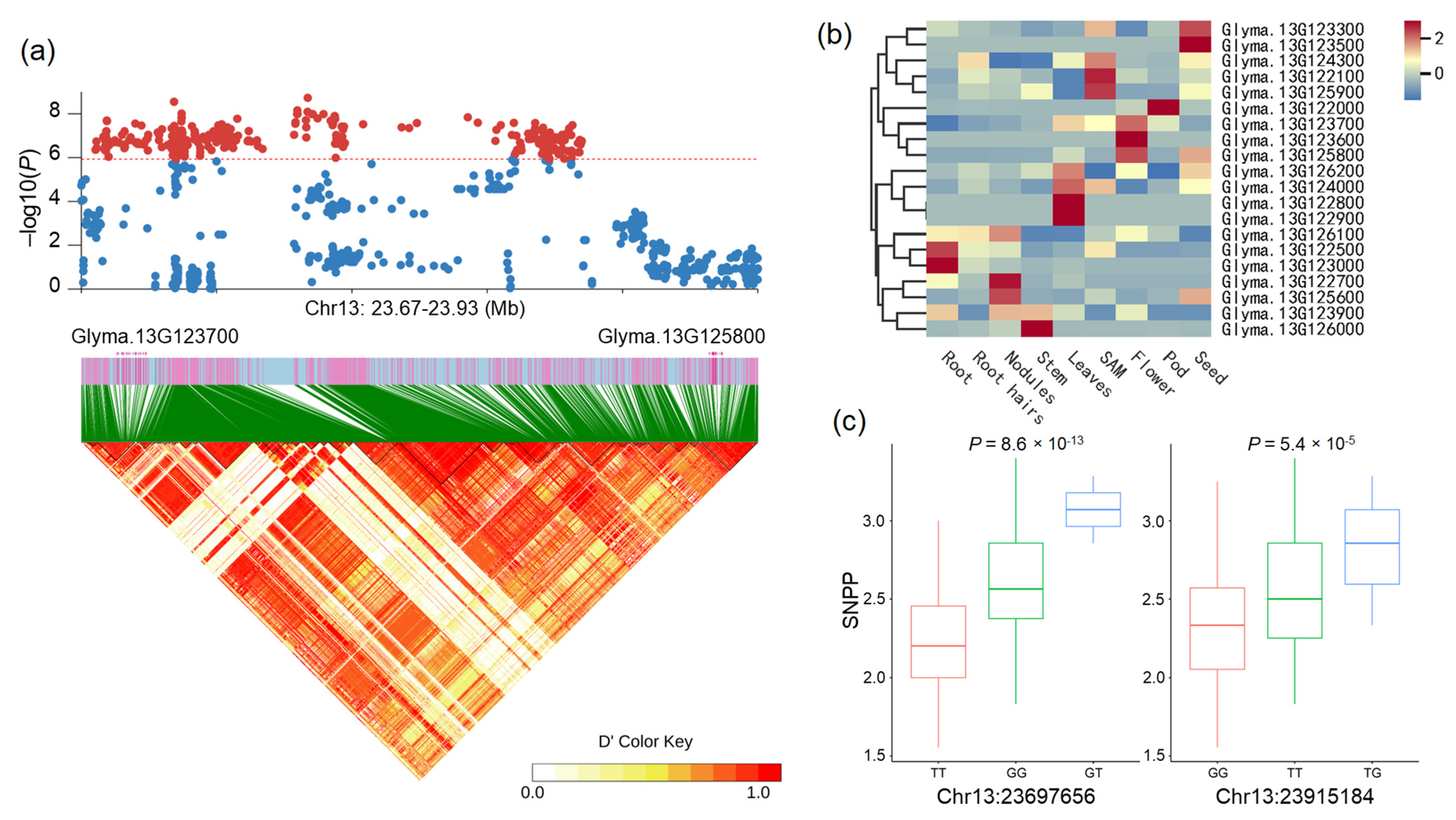 Ijms 25 02536 g005 Ijms 25 02536 g005