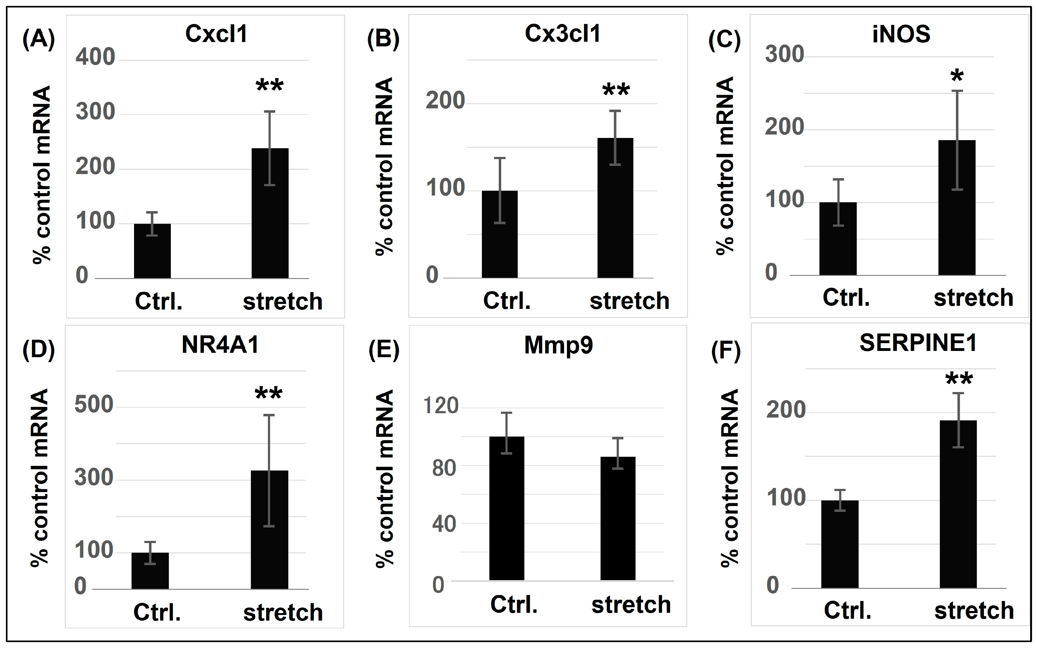 Ijms 25 02544 g004 Ijms 25 02544 g004