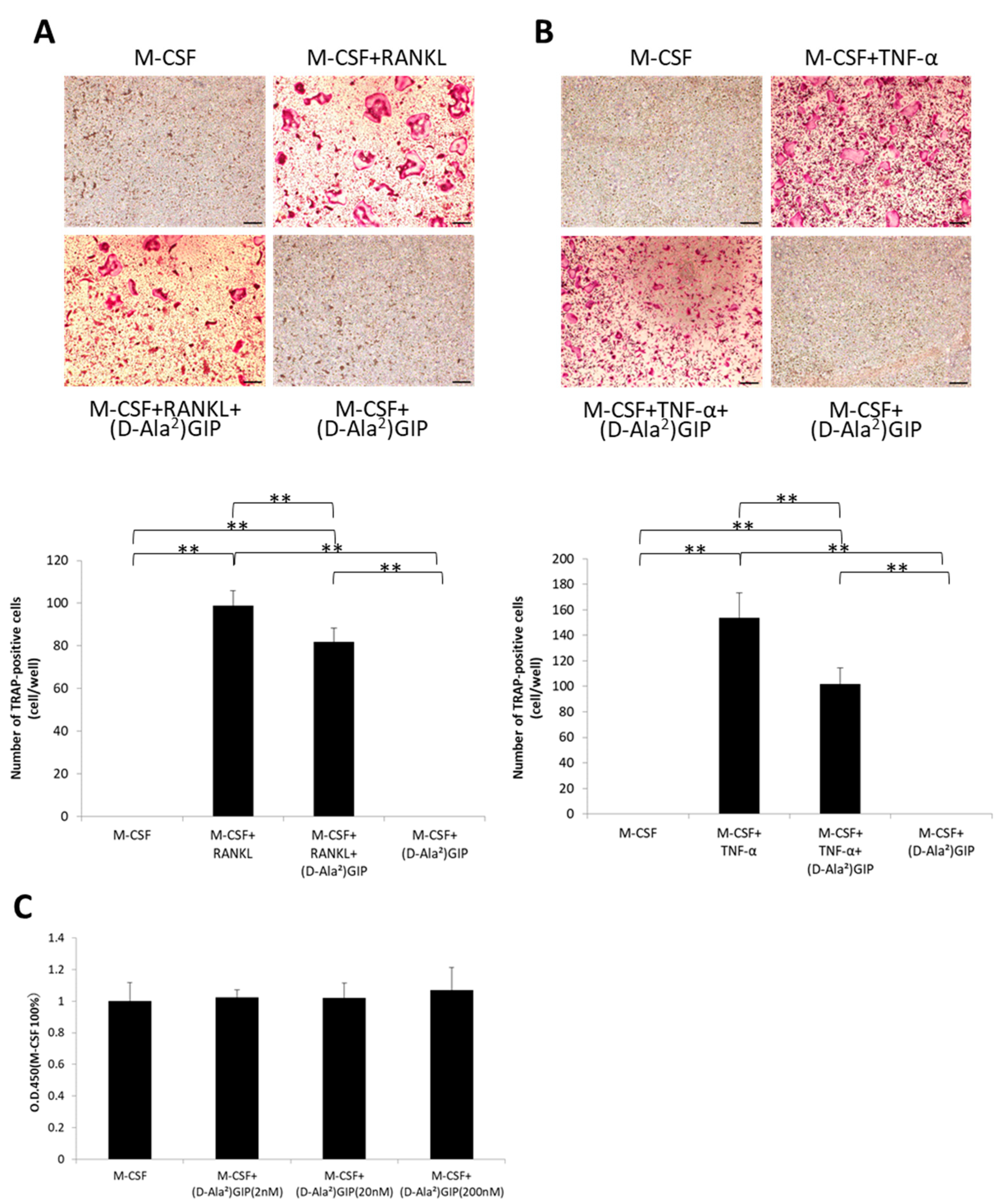 Ijms 25 02555 g004 Ijms 25 02555 g004