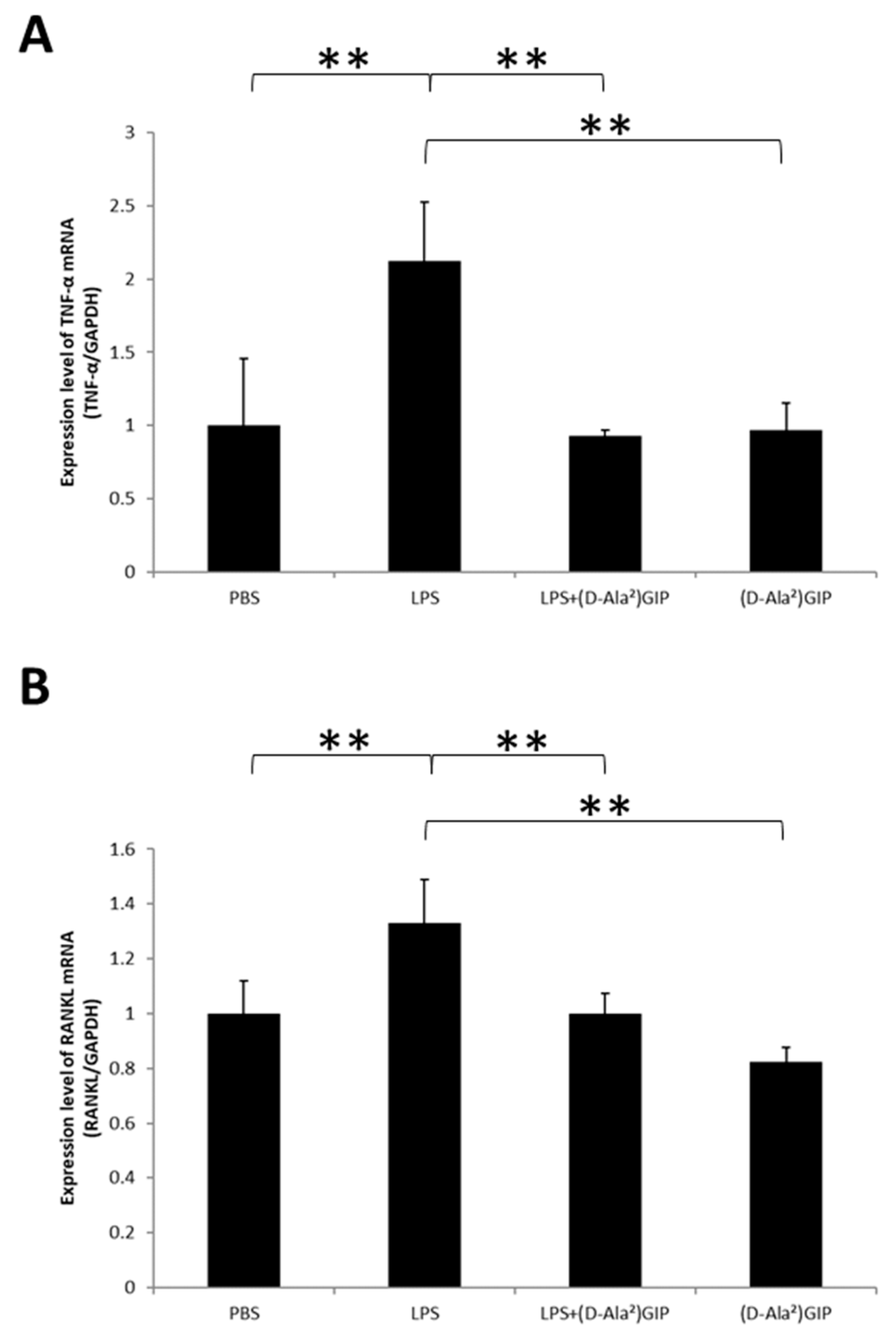 Ijms 25 02555 g005 Ijms 25 02555 g005