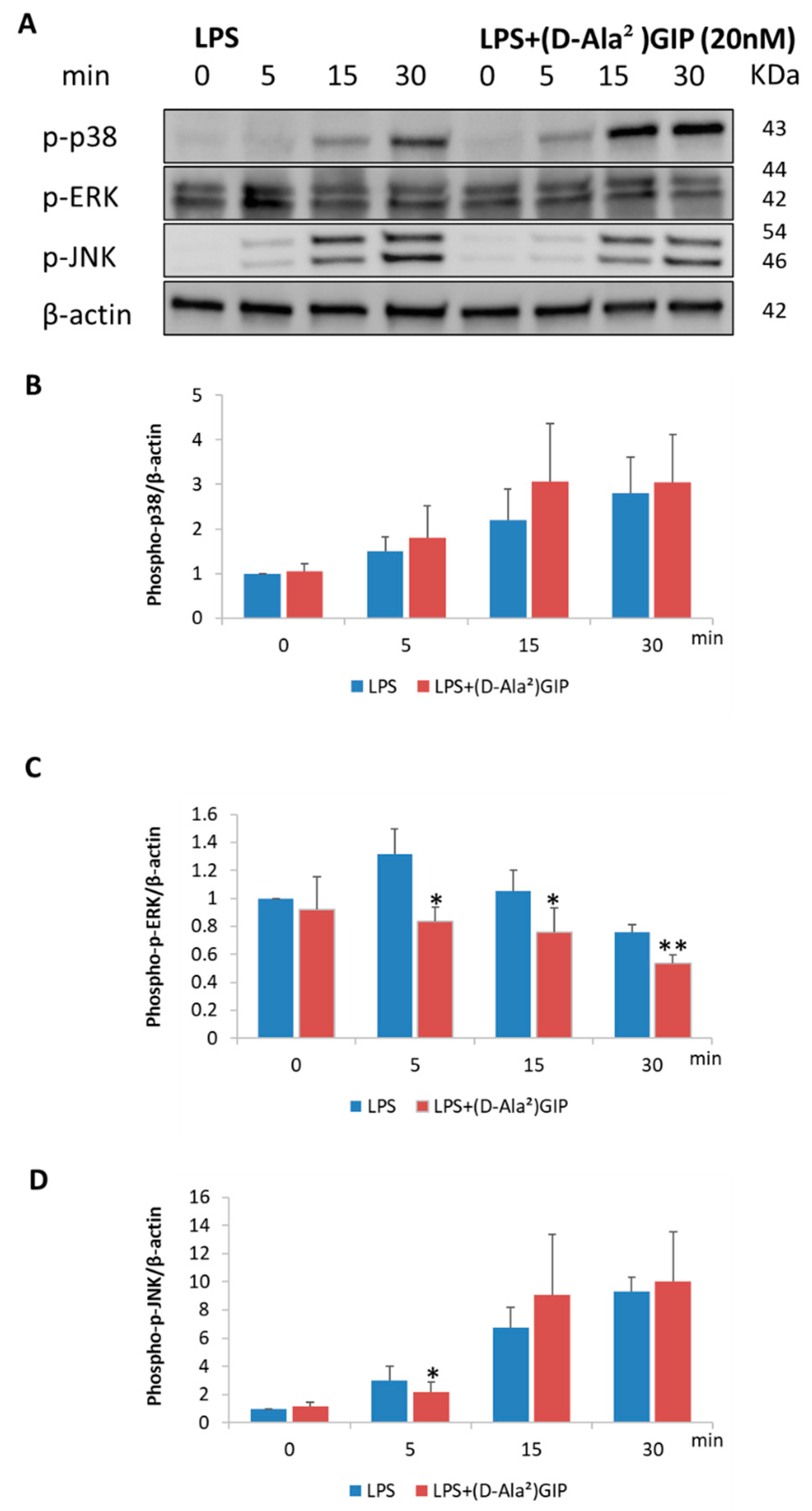 Ijms 25 02555 g007 Ijms 25 02555 g007