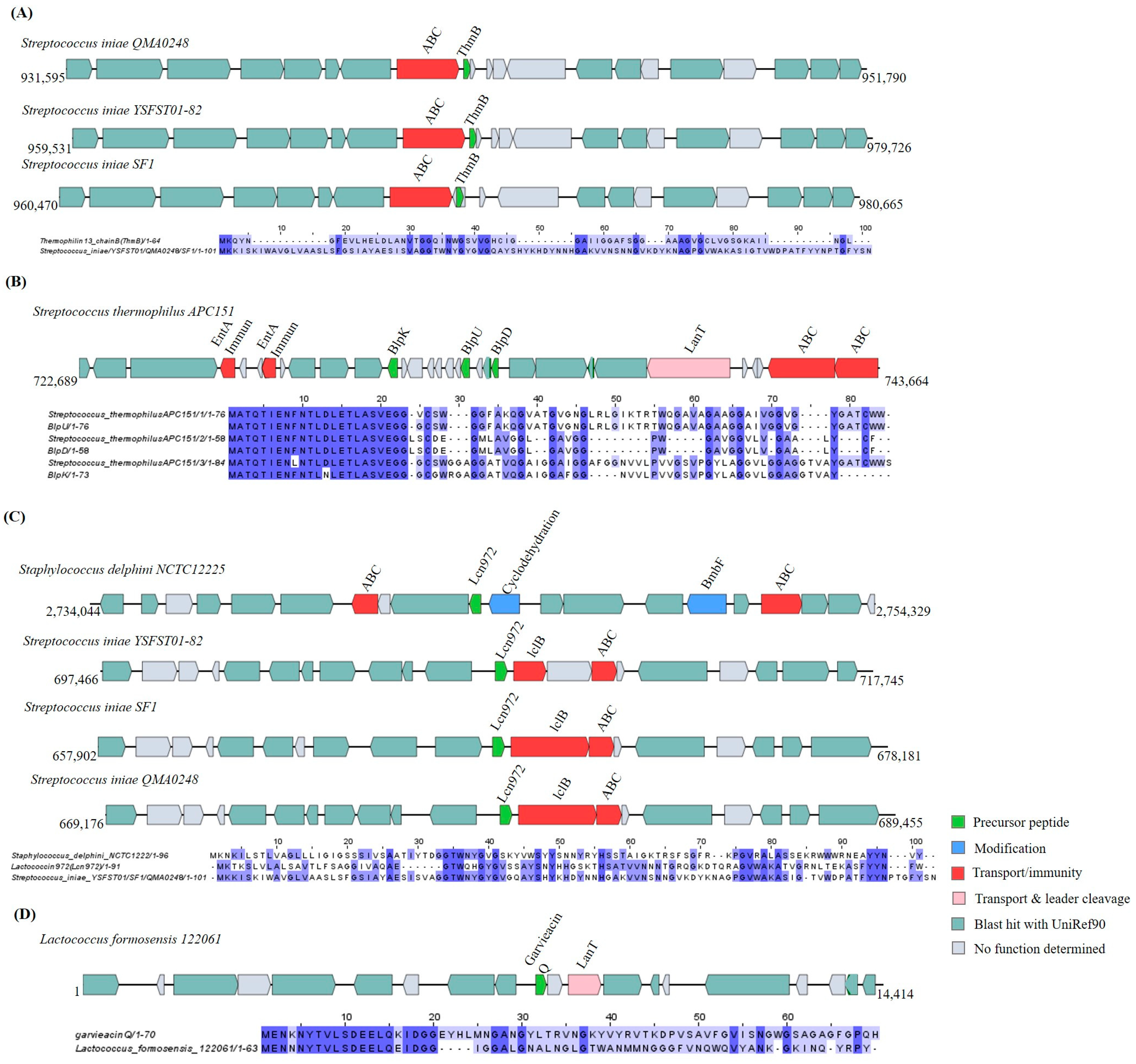 Ijms 25 02566 g010a Ijms 25 02566 g010a