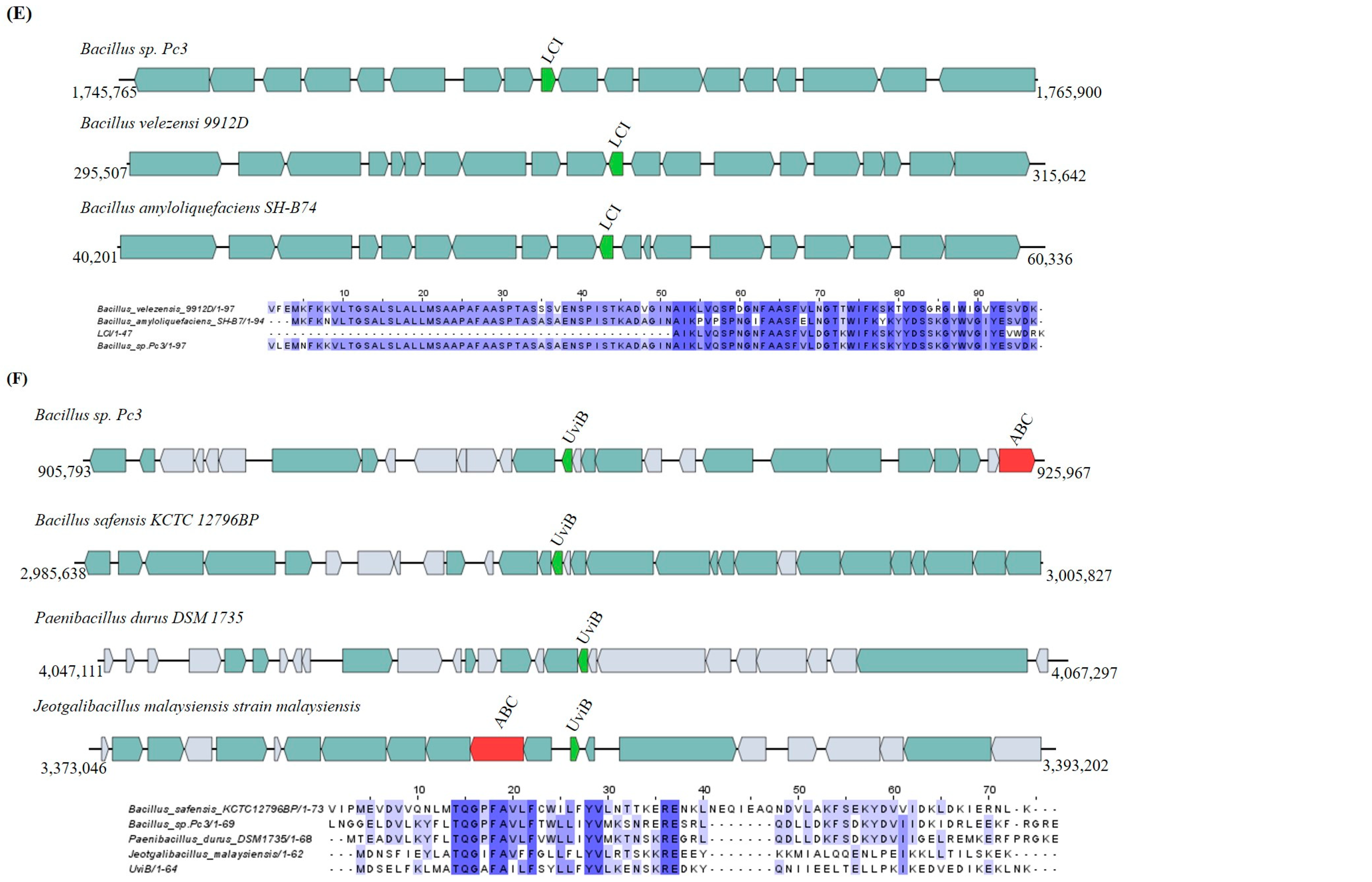 Ijms 25 02566 g010b Ijms 25 02566 g010b