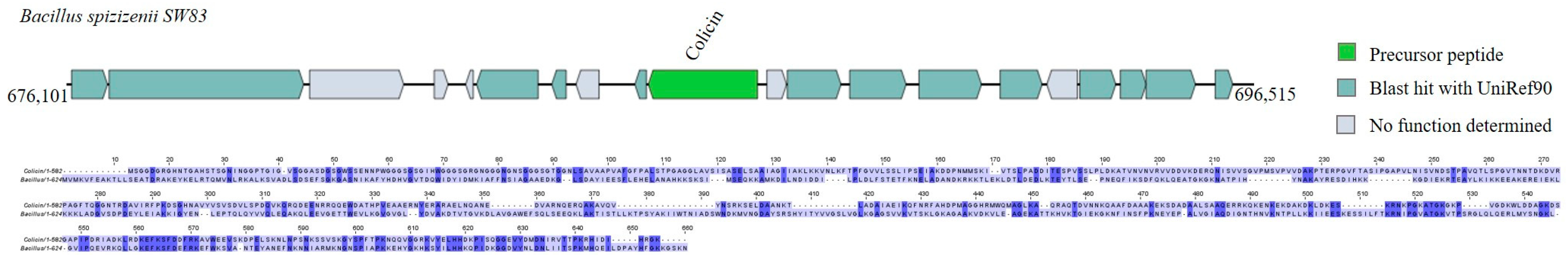 Ijms 25 02566 g011 Ijms 25 02566 g011