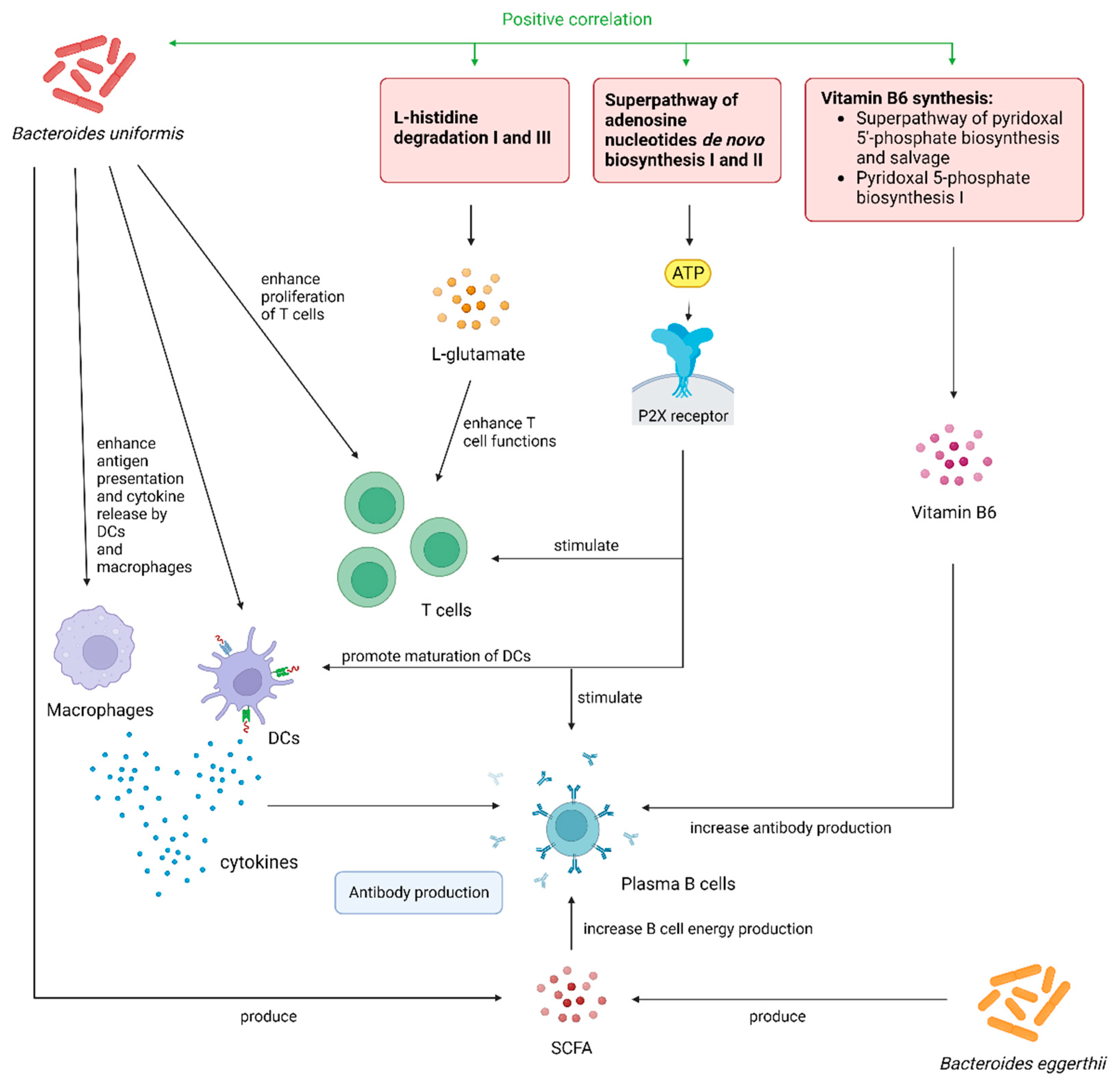 Ijms 25 02583 g003 Ijms 25 02583 g003