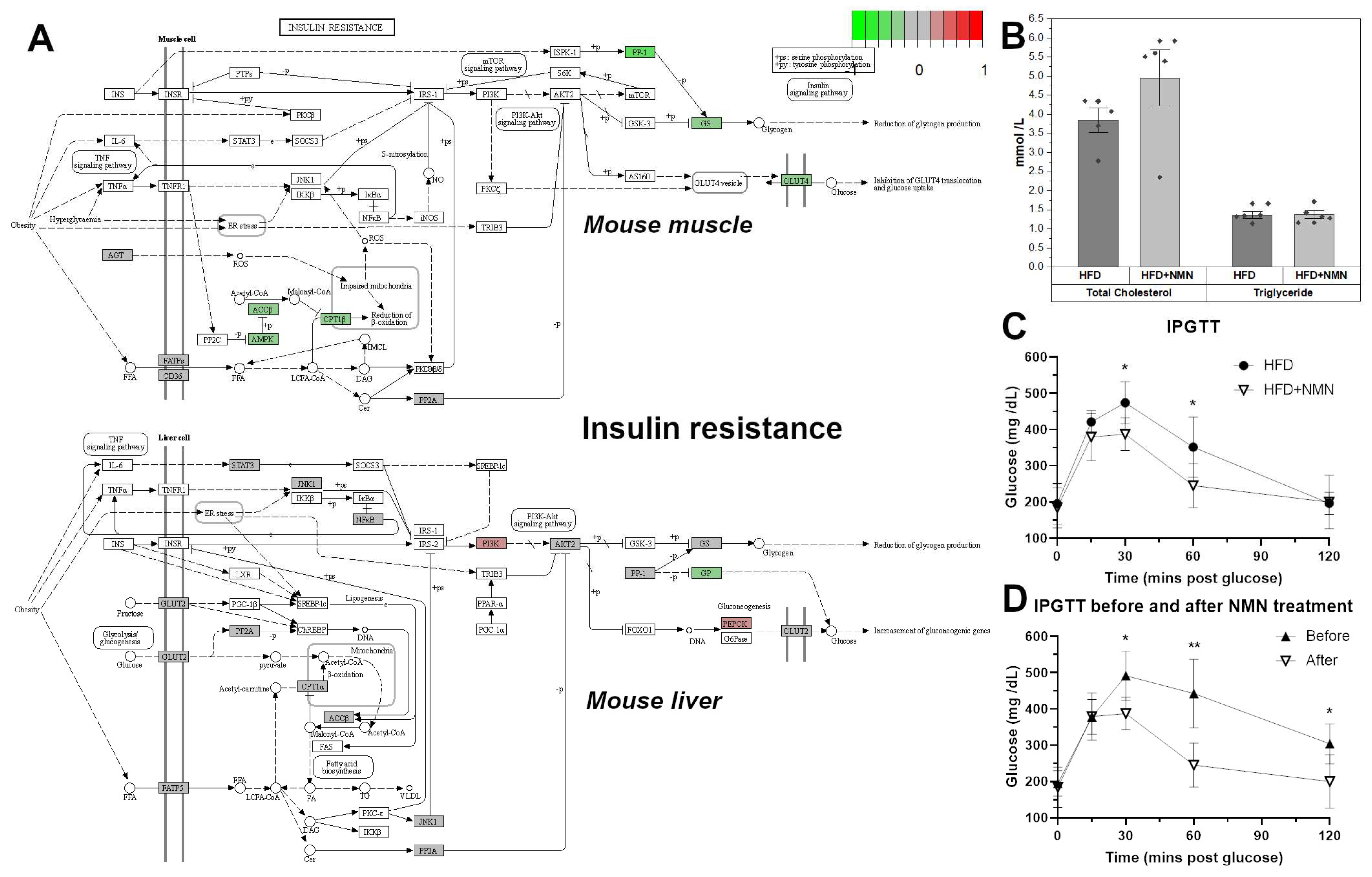Ijms 25 02594 g001 Ijms 25 02594 g001