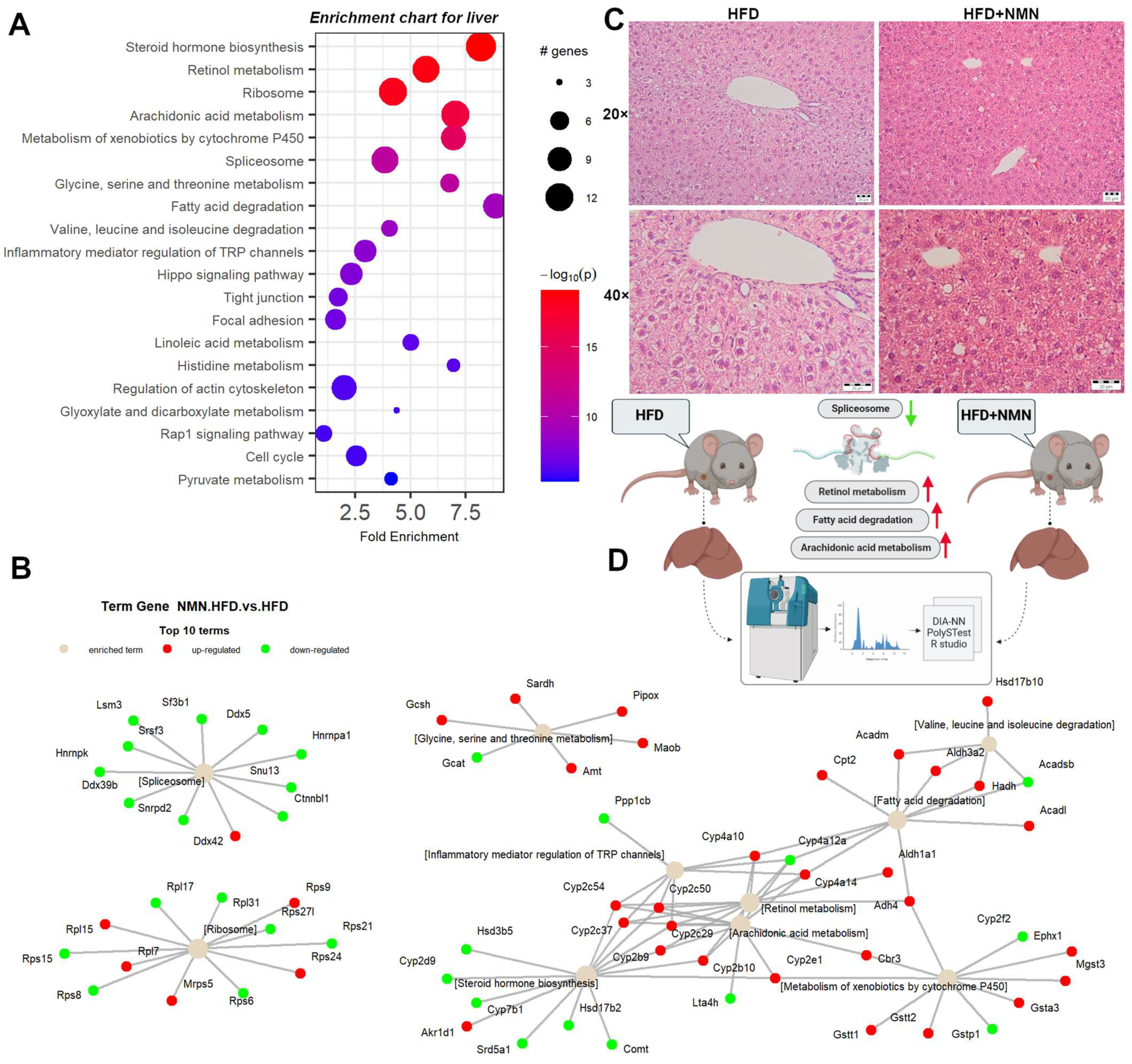 Ijms 25 02594 g003 Ijms 25 02594 g003