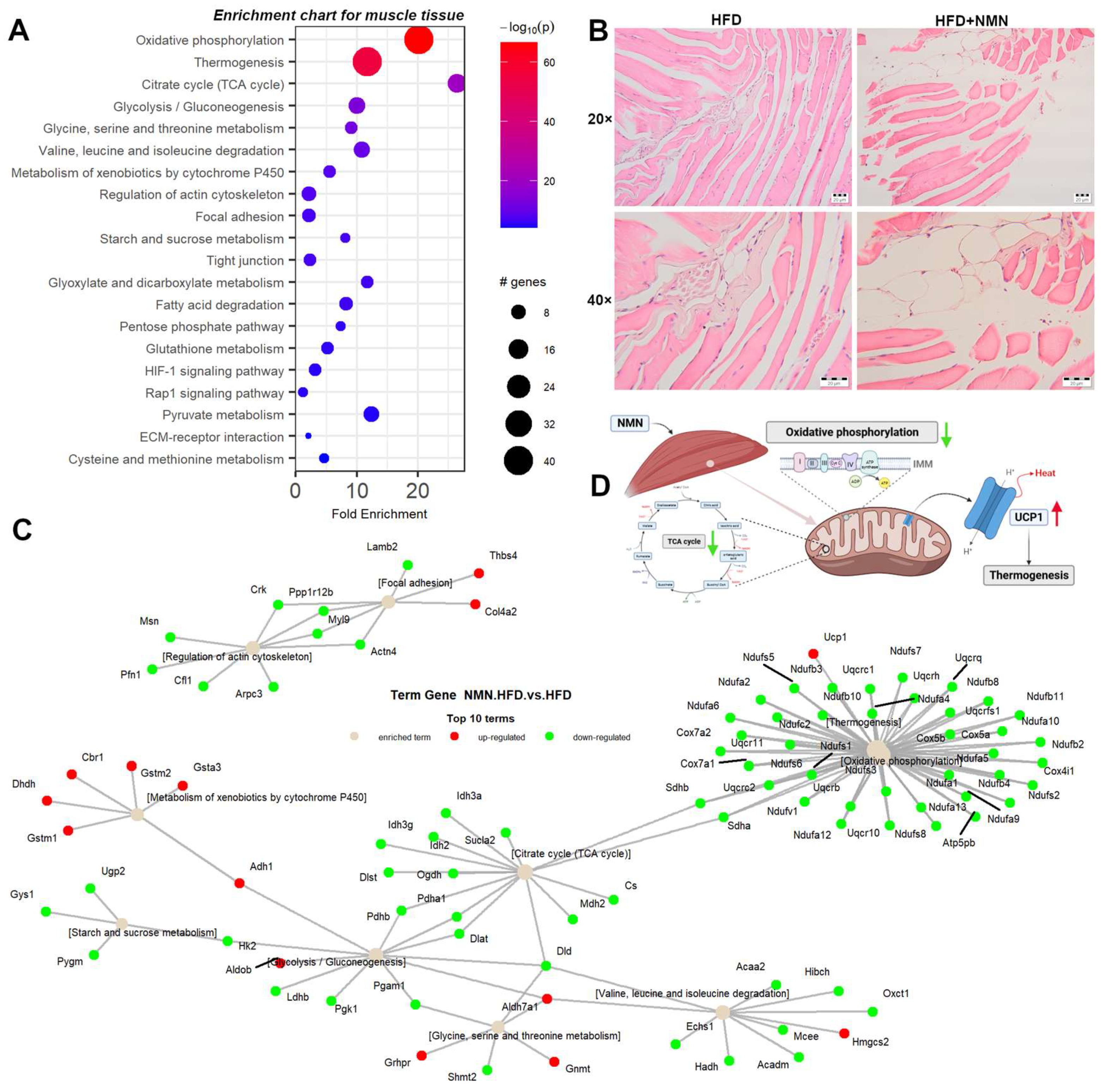 Ijms 25 02594 g005 Ijms 25 02594 g005