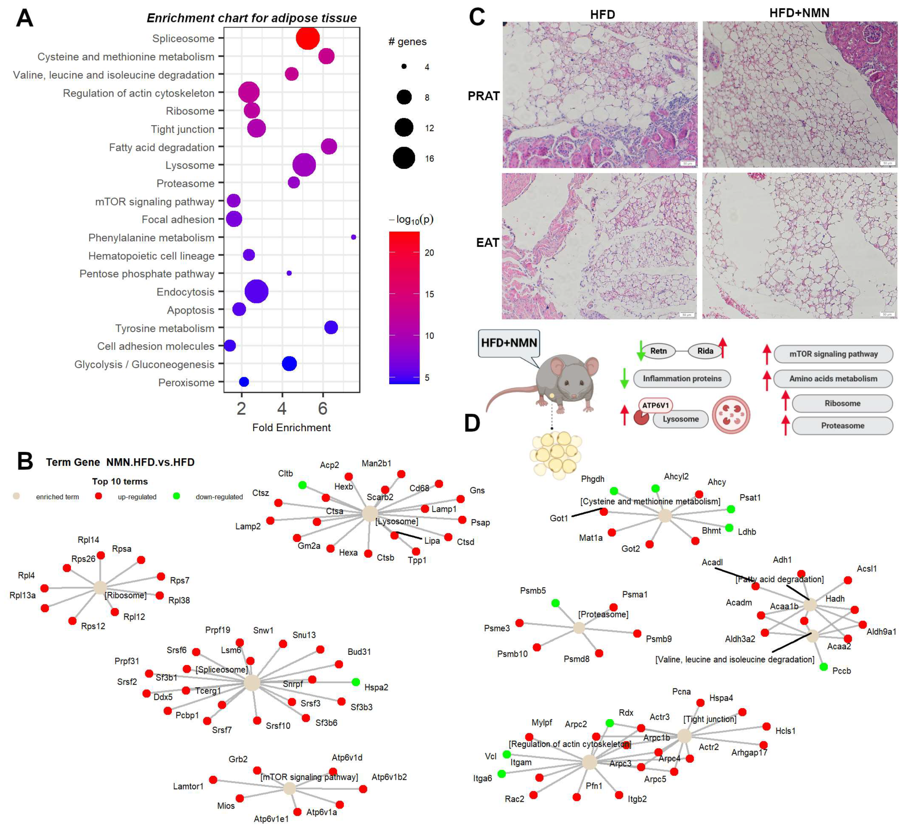 Ijms 25 02594 g006 Ijms 25 02594 g006