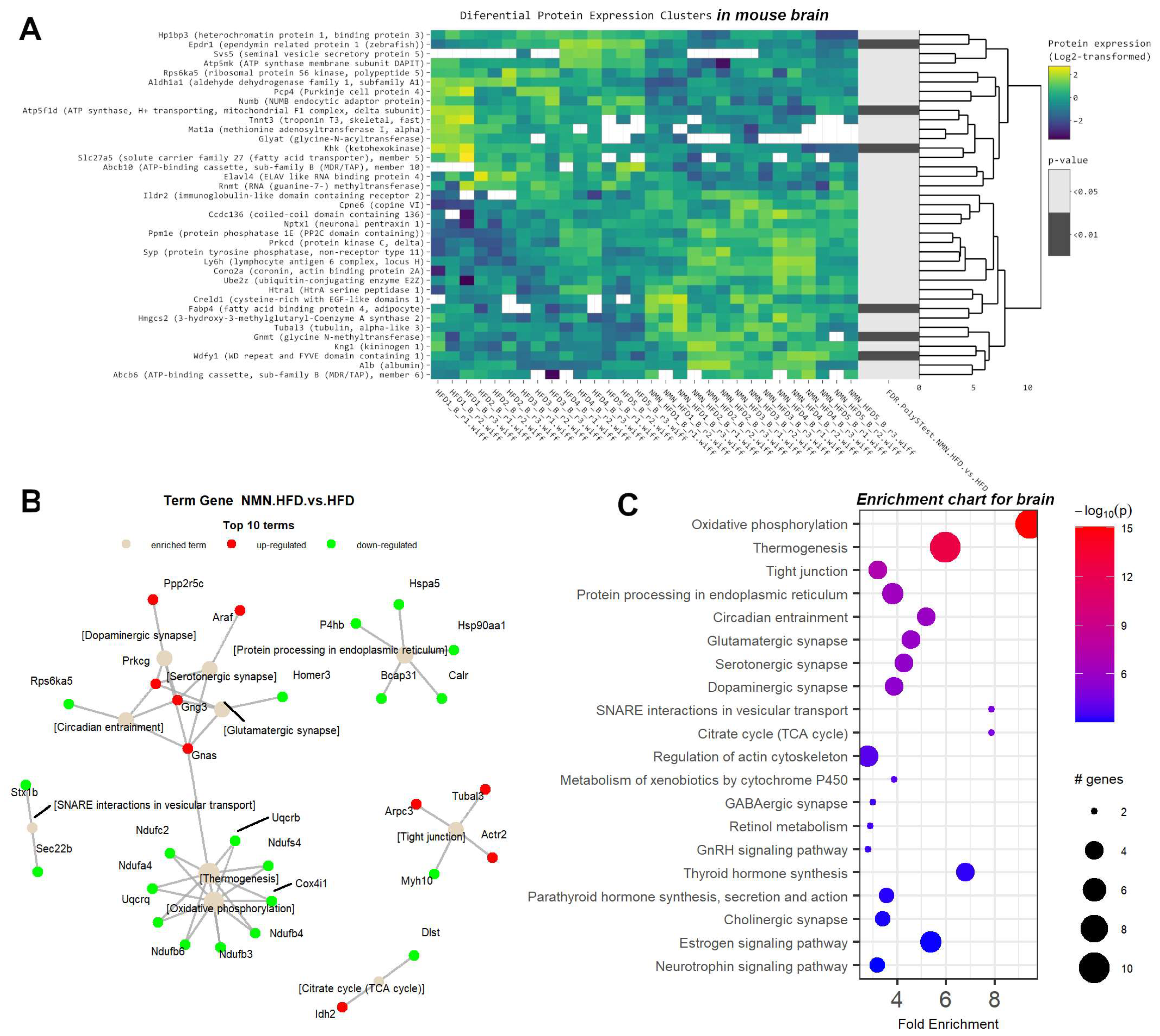 Ijms 25 02594 g007 Ijms 25 02594 g007