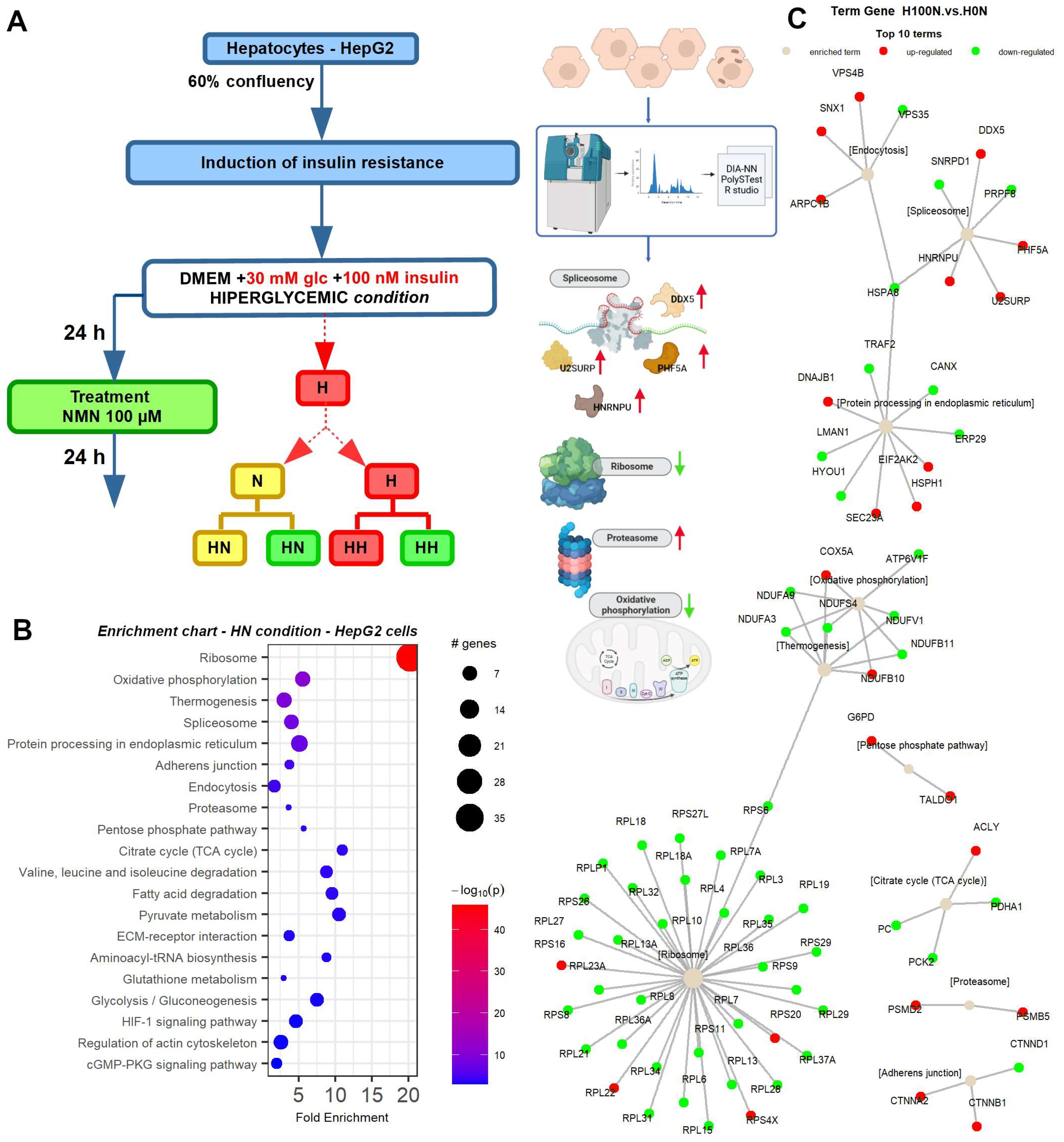 Ijms 25 02594 g008 Ijms 25 02594 g008