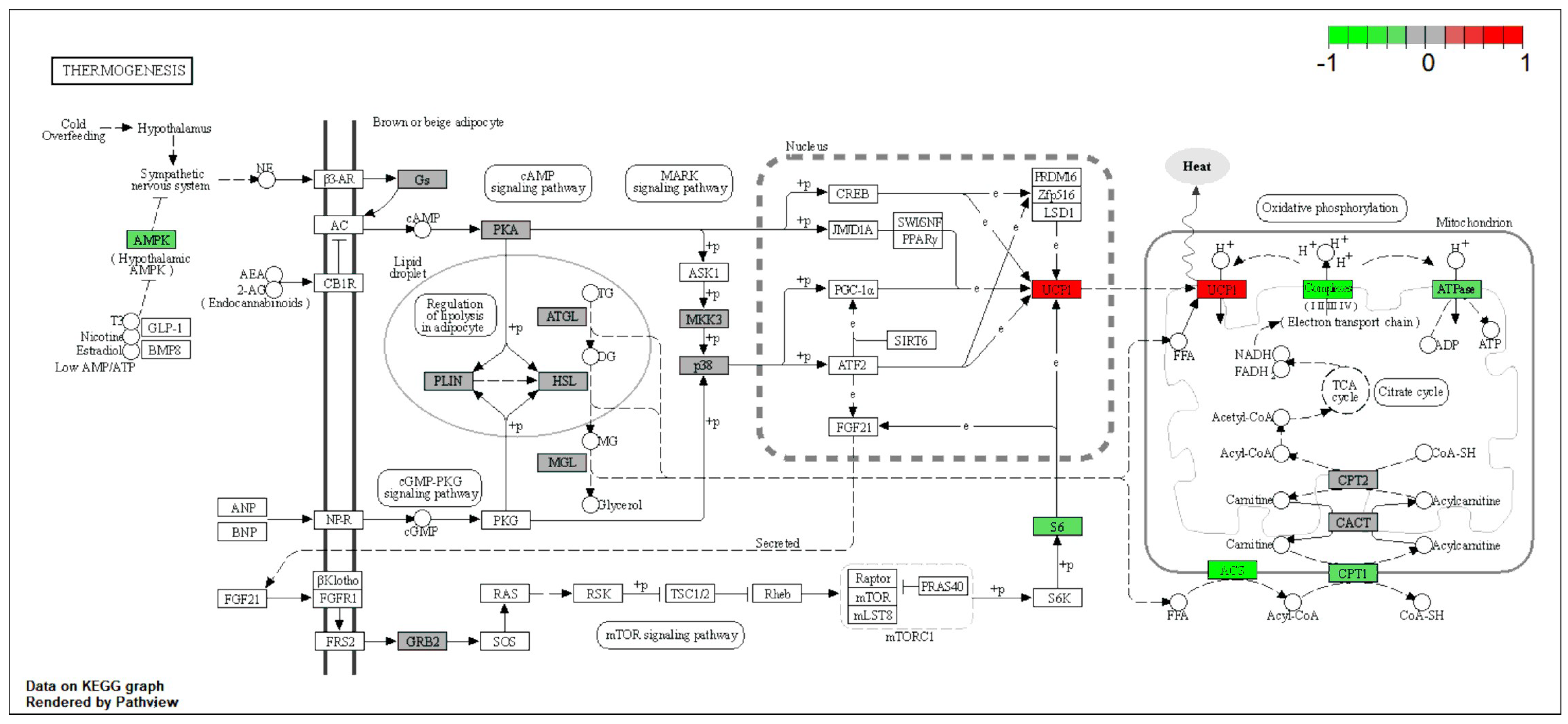 Ijms 25 02594 g009 Ijms 25 02594 g009