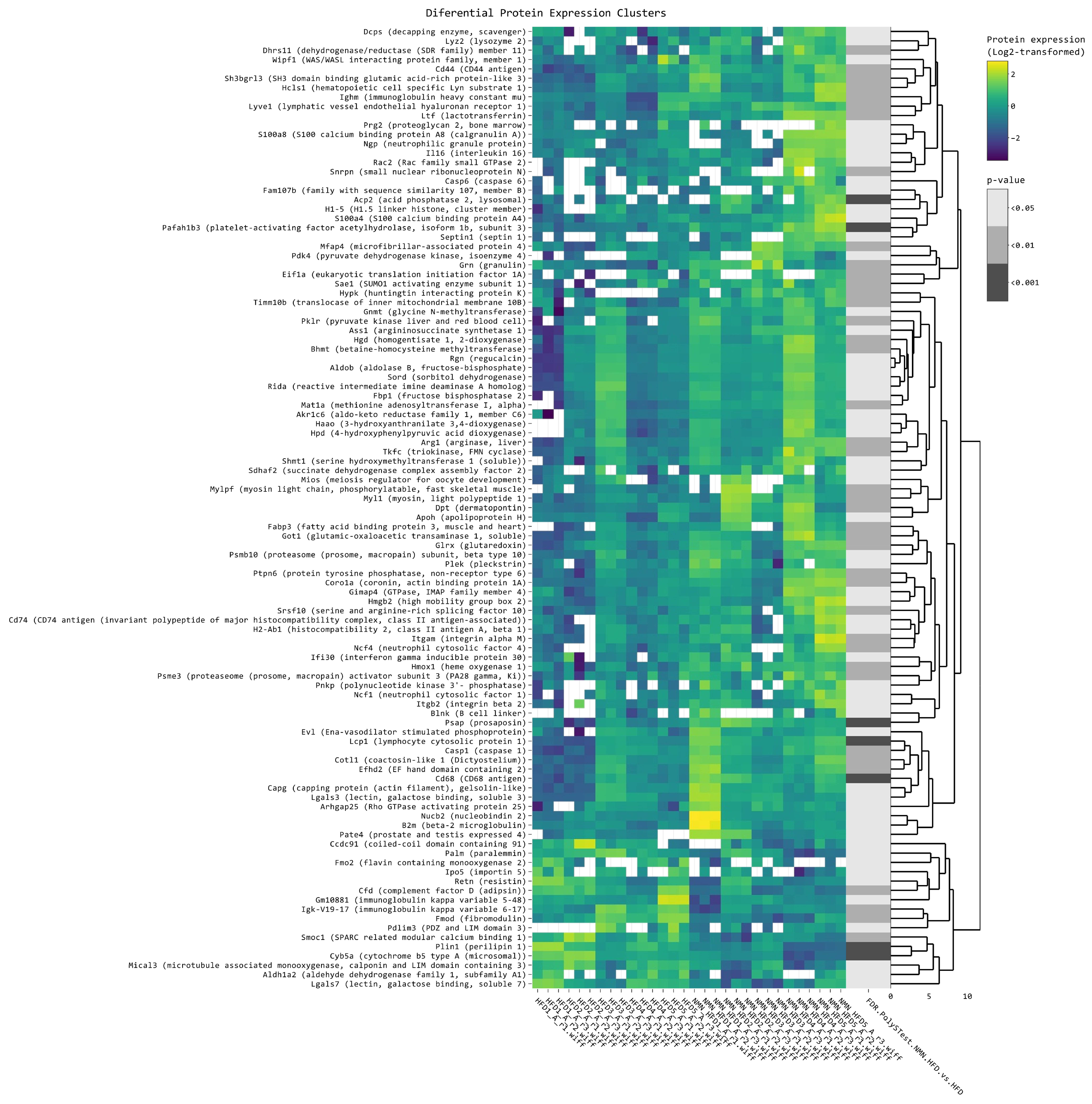 Ijms 25 02594 g0a1 Ijms 25 02594 g0a1