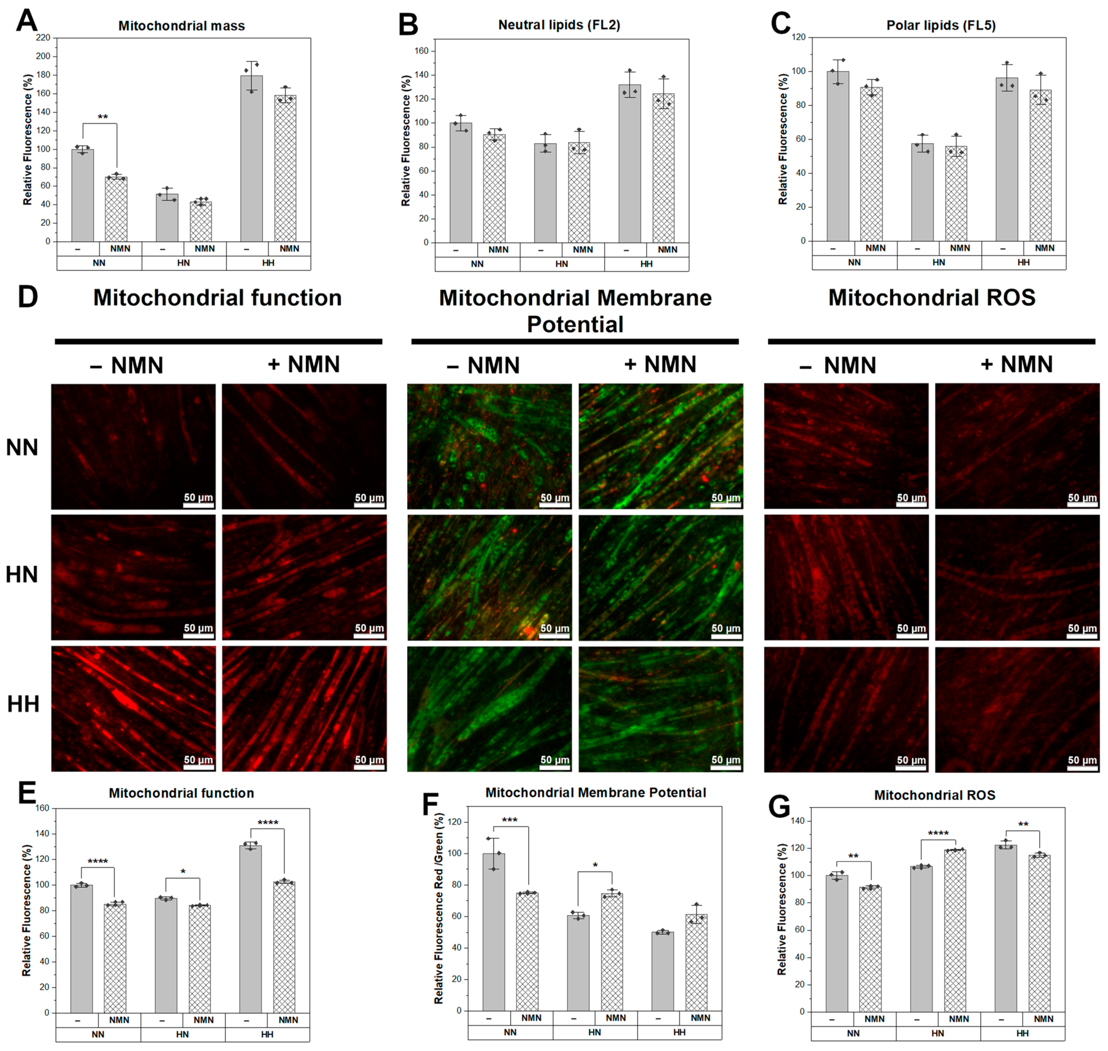 Ijms 25 02594 g0a3 Ijms 25 02594 g0a3