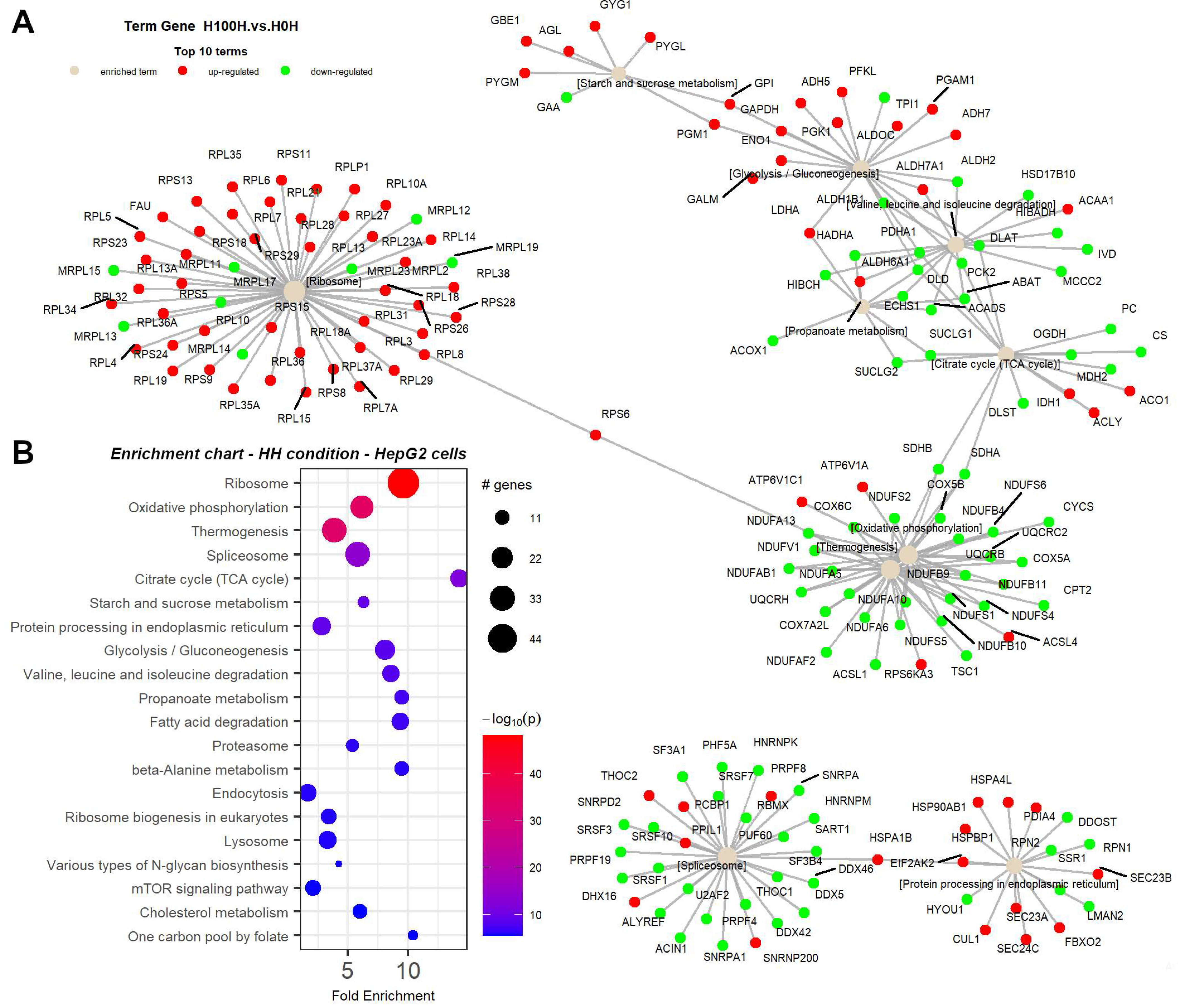Ijms 25 02594 g0a5 Ijms 25 02594 g0a5