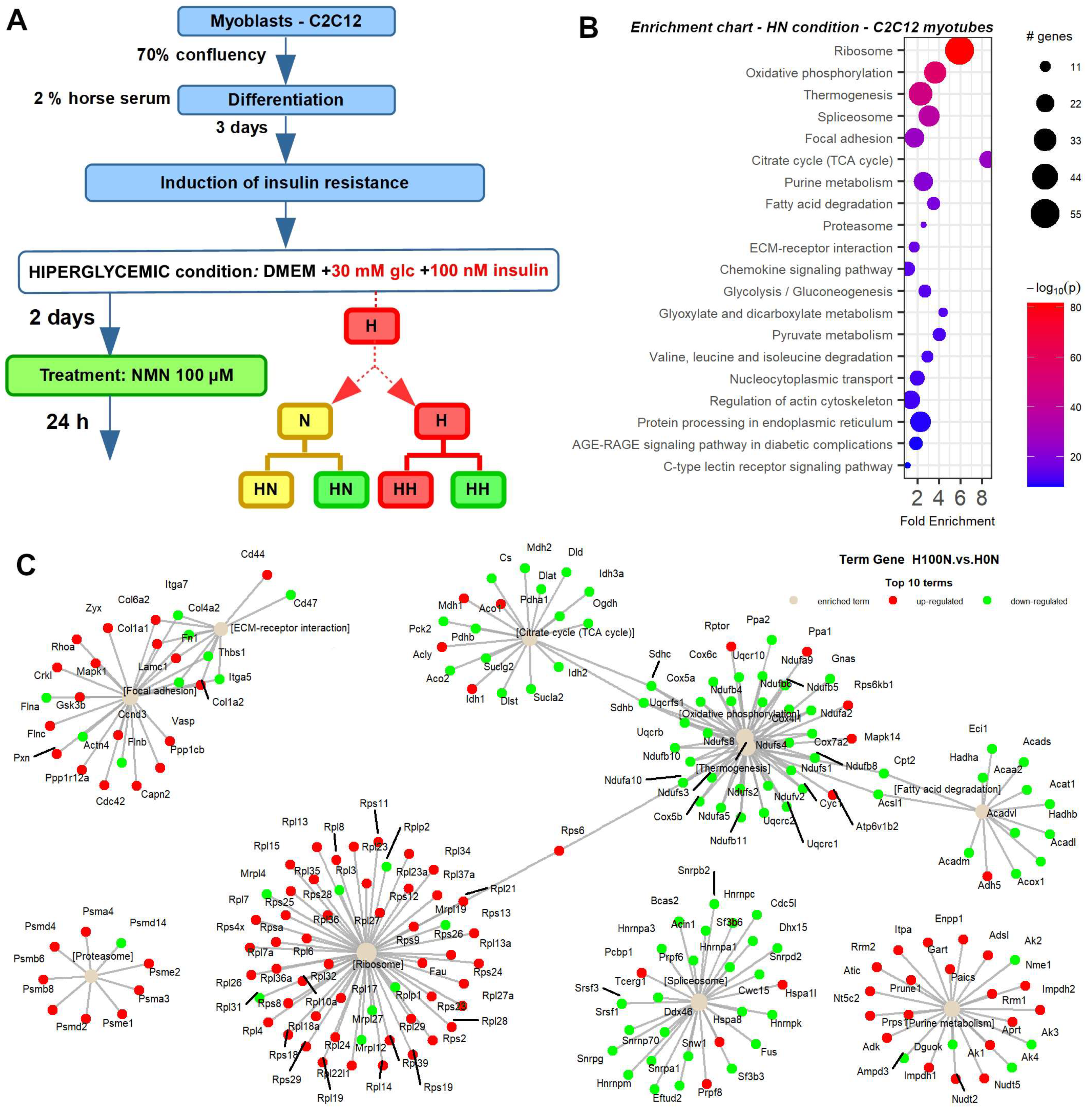 Ijms 25 02594 g0a7 Ijms 25 02594 g0a7