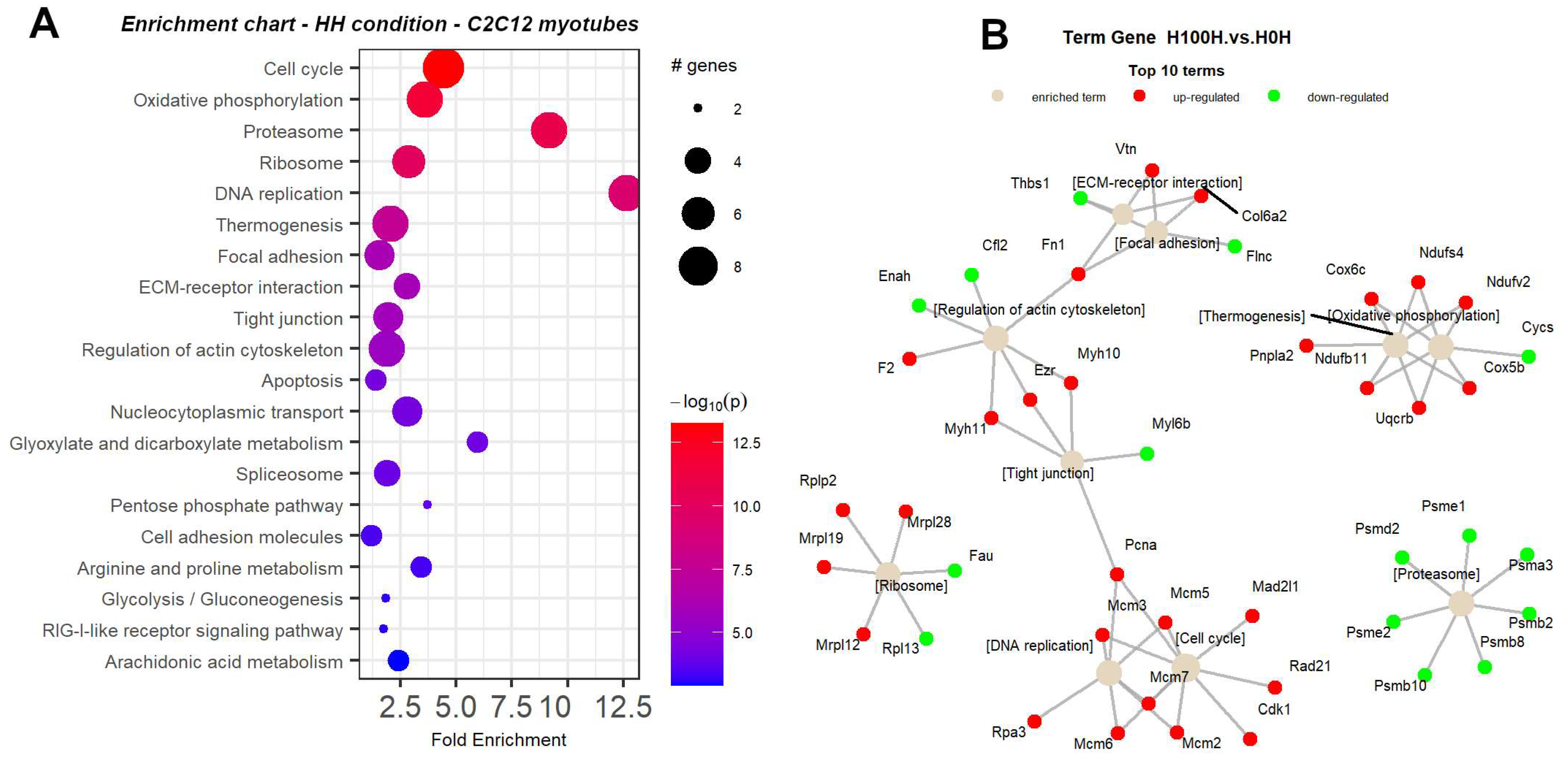 Ijms 25 02594 g0a8 Ijms 25 02594 g0a8