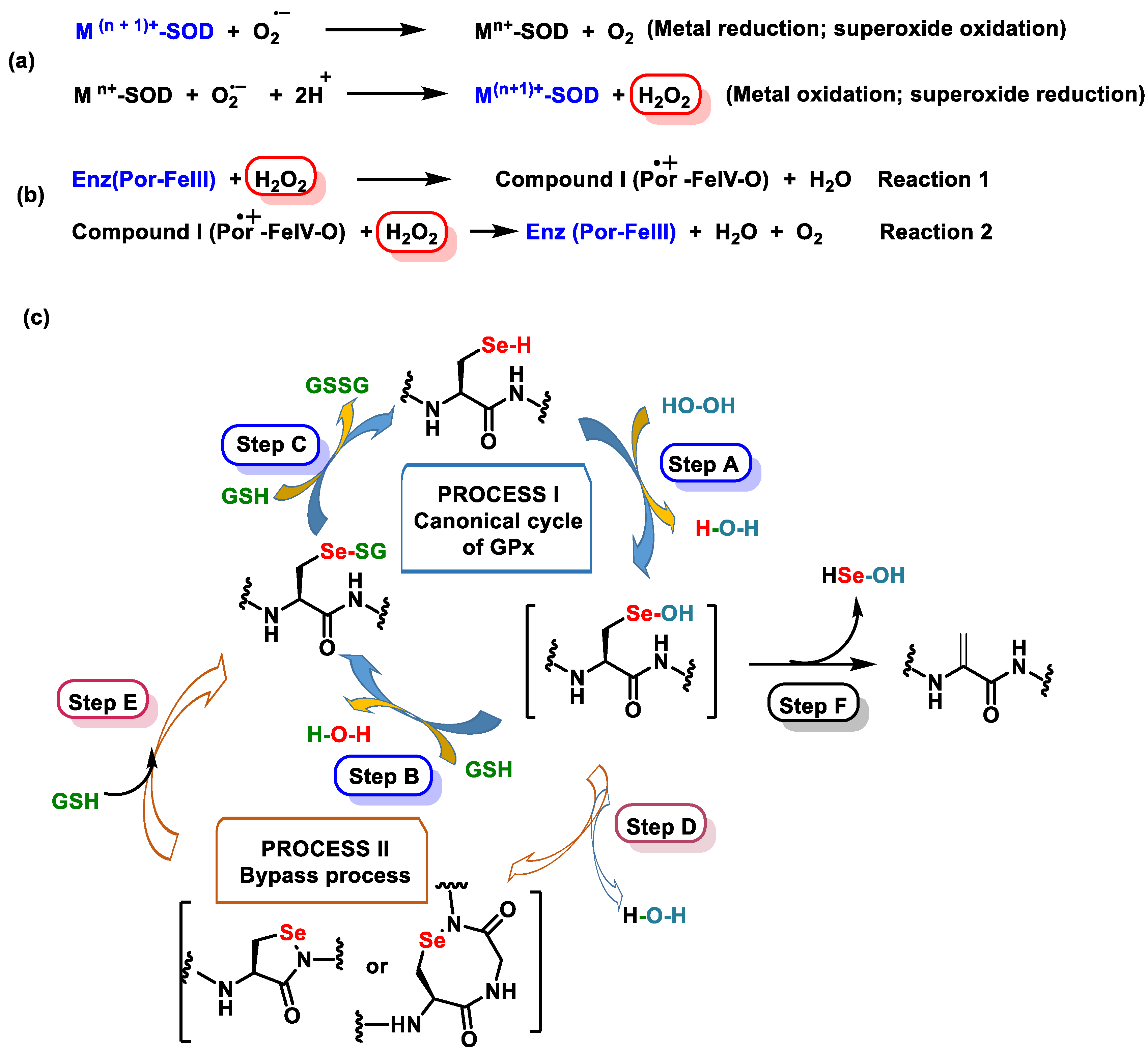 Ijms 25 02600 g002 Ijms 25 02600 g002
