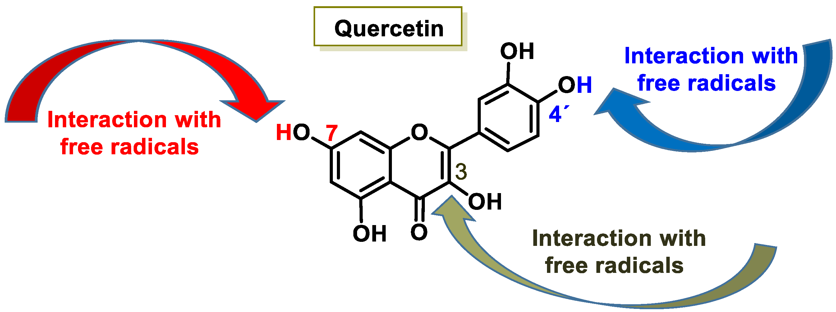 Ijms 25 02600 g004 Ijms 25 02600 g004
