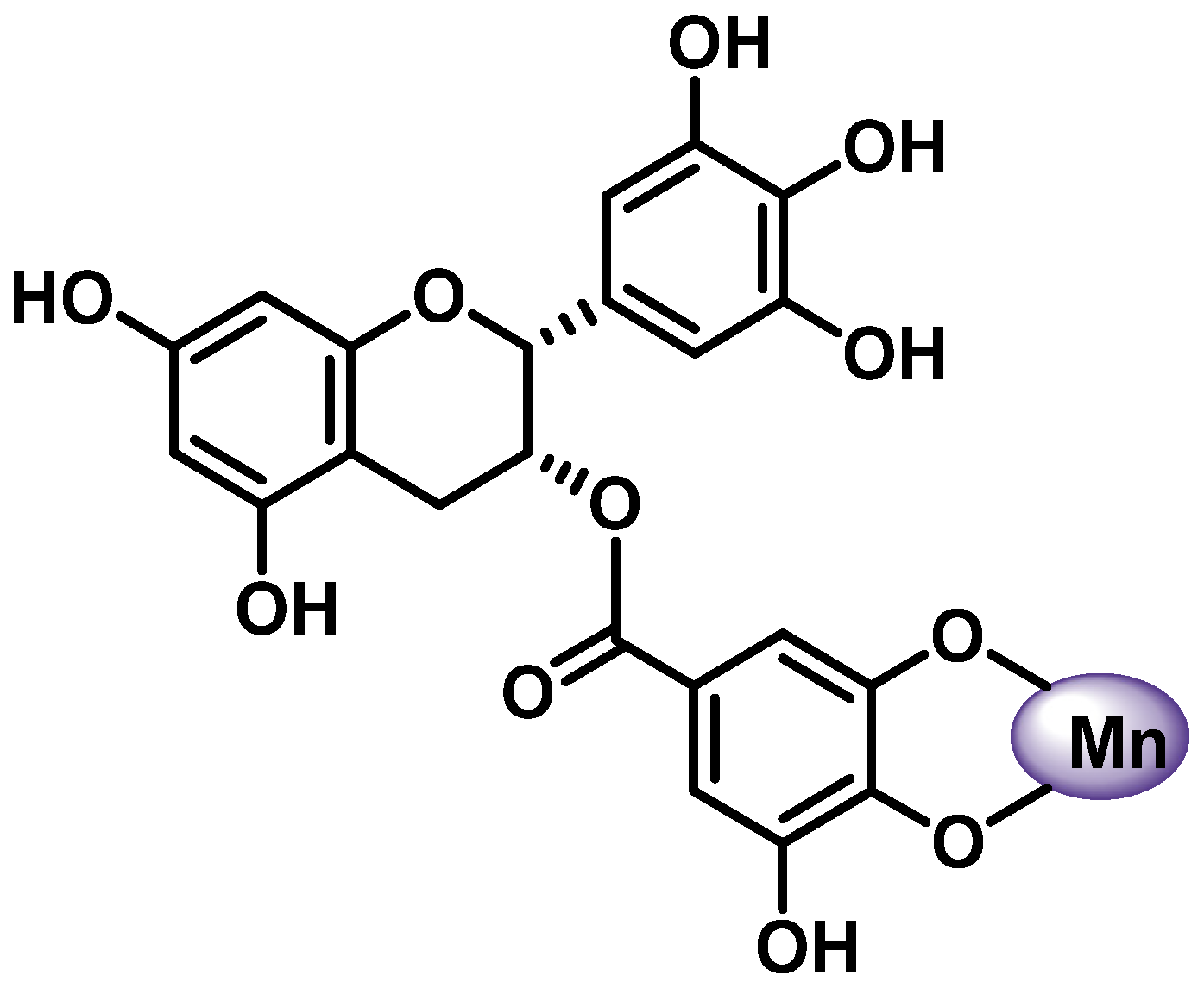 Ijms 25 02600 g008 Ijms 25 02600 g008